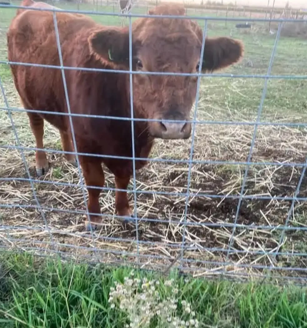 Geods R.V. CampGround