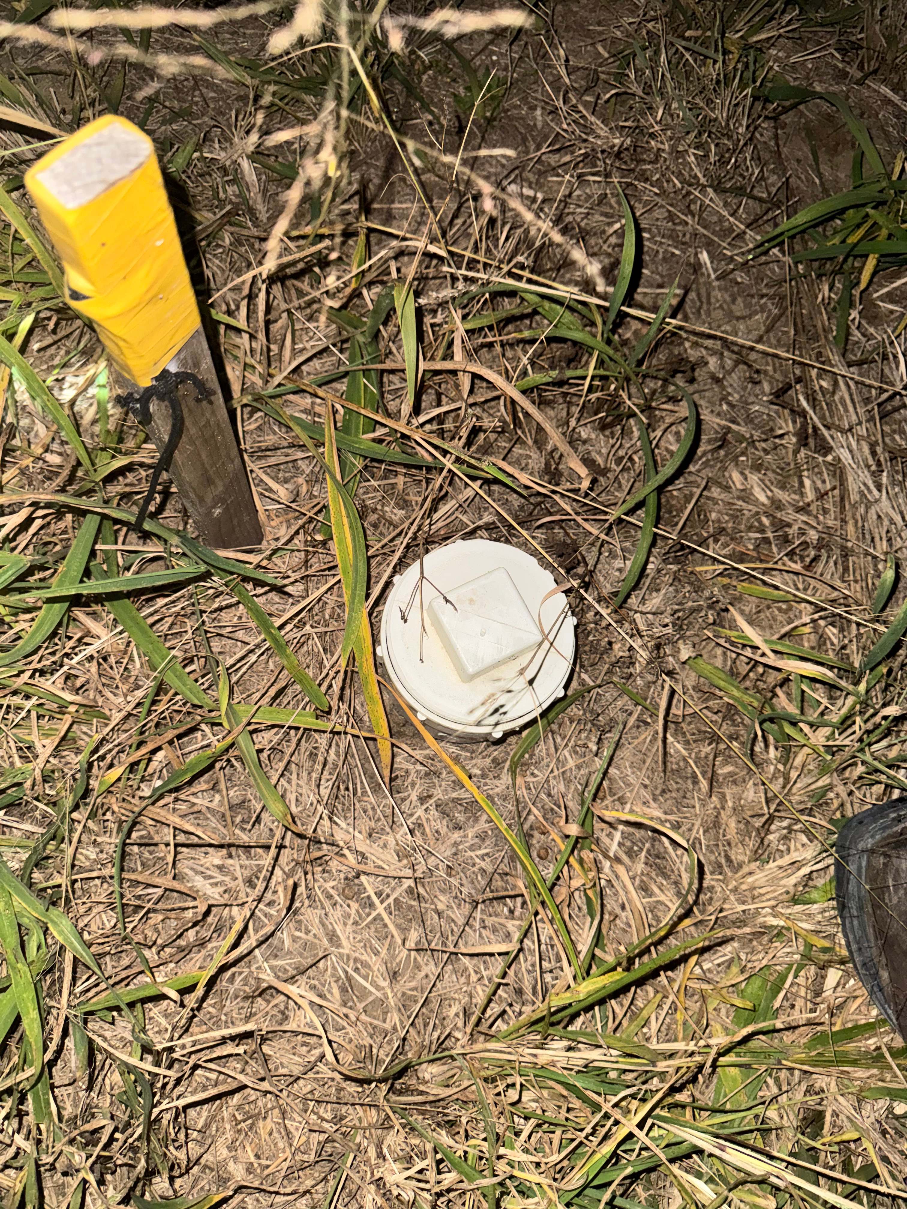 Mavra’s Figs Orchard