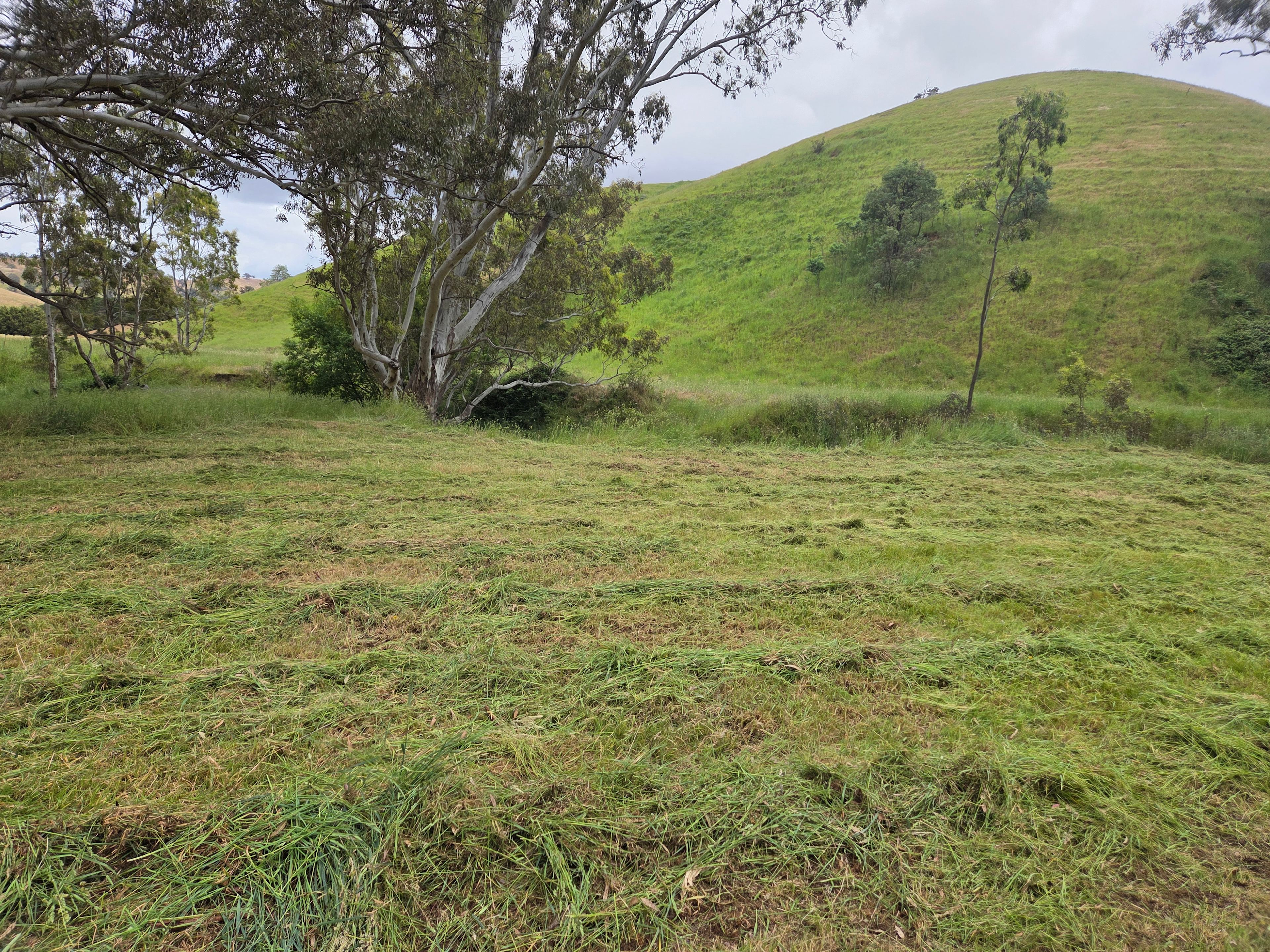 Stoney Creek Sanctuary