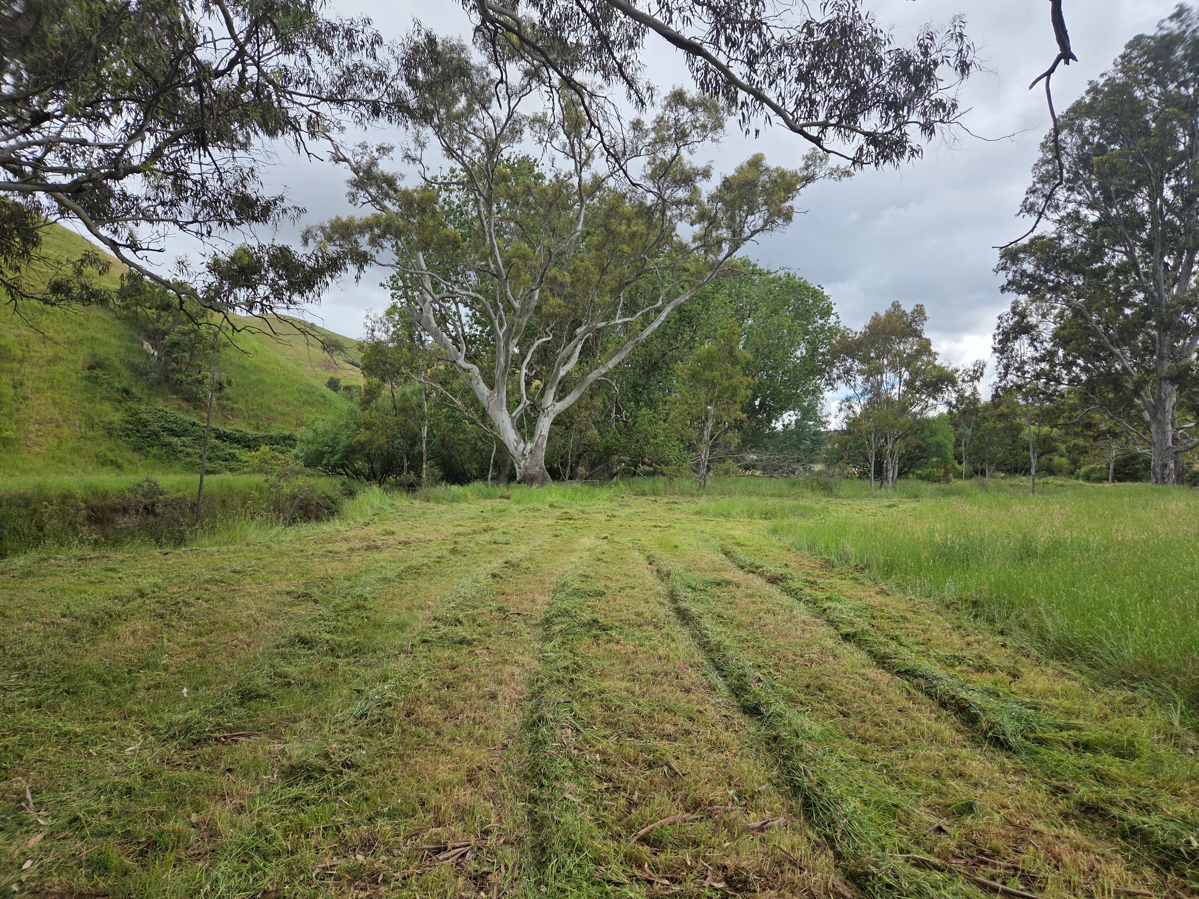 Stoney Creek Sanctuary