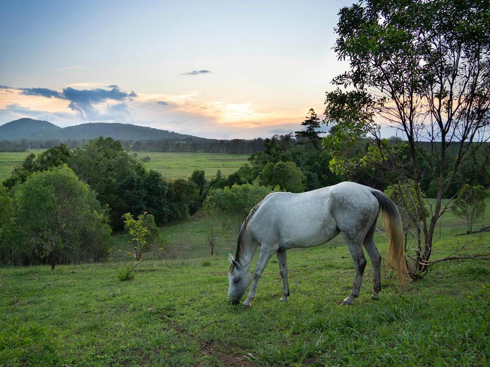 Hidden Camp Farm Stay