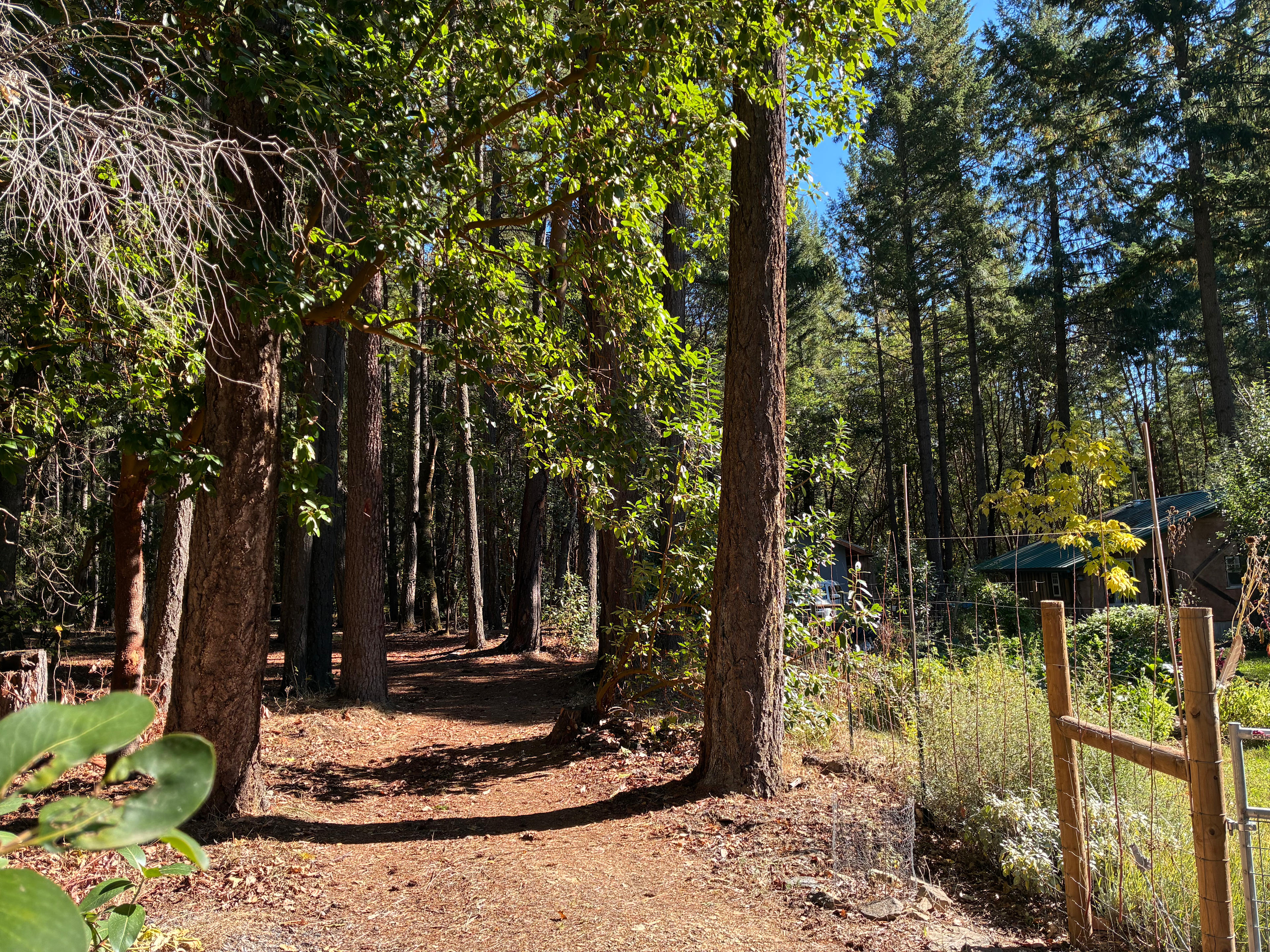 Straw bale artist studio
