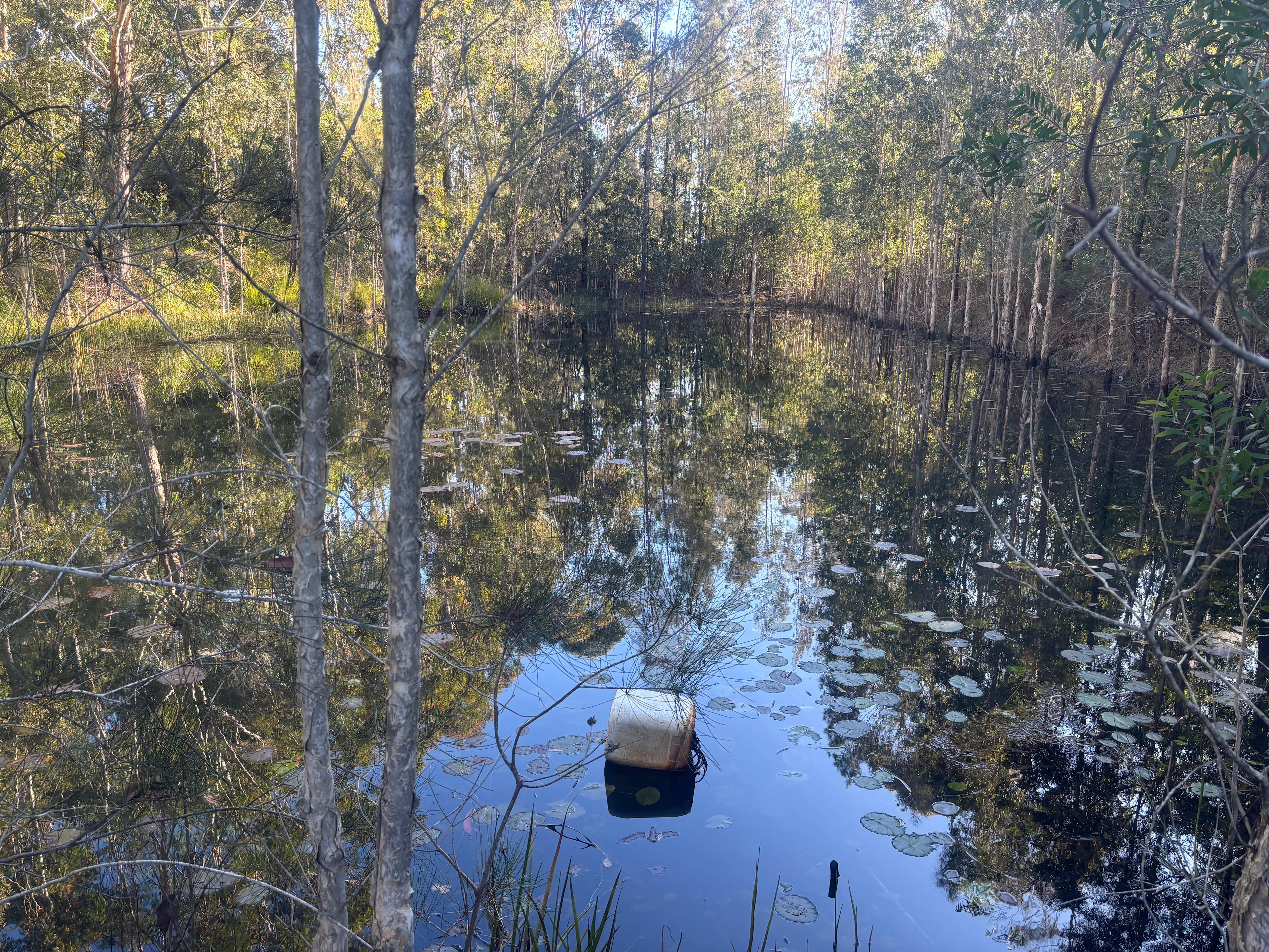 Shady Acres Botanica