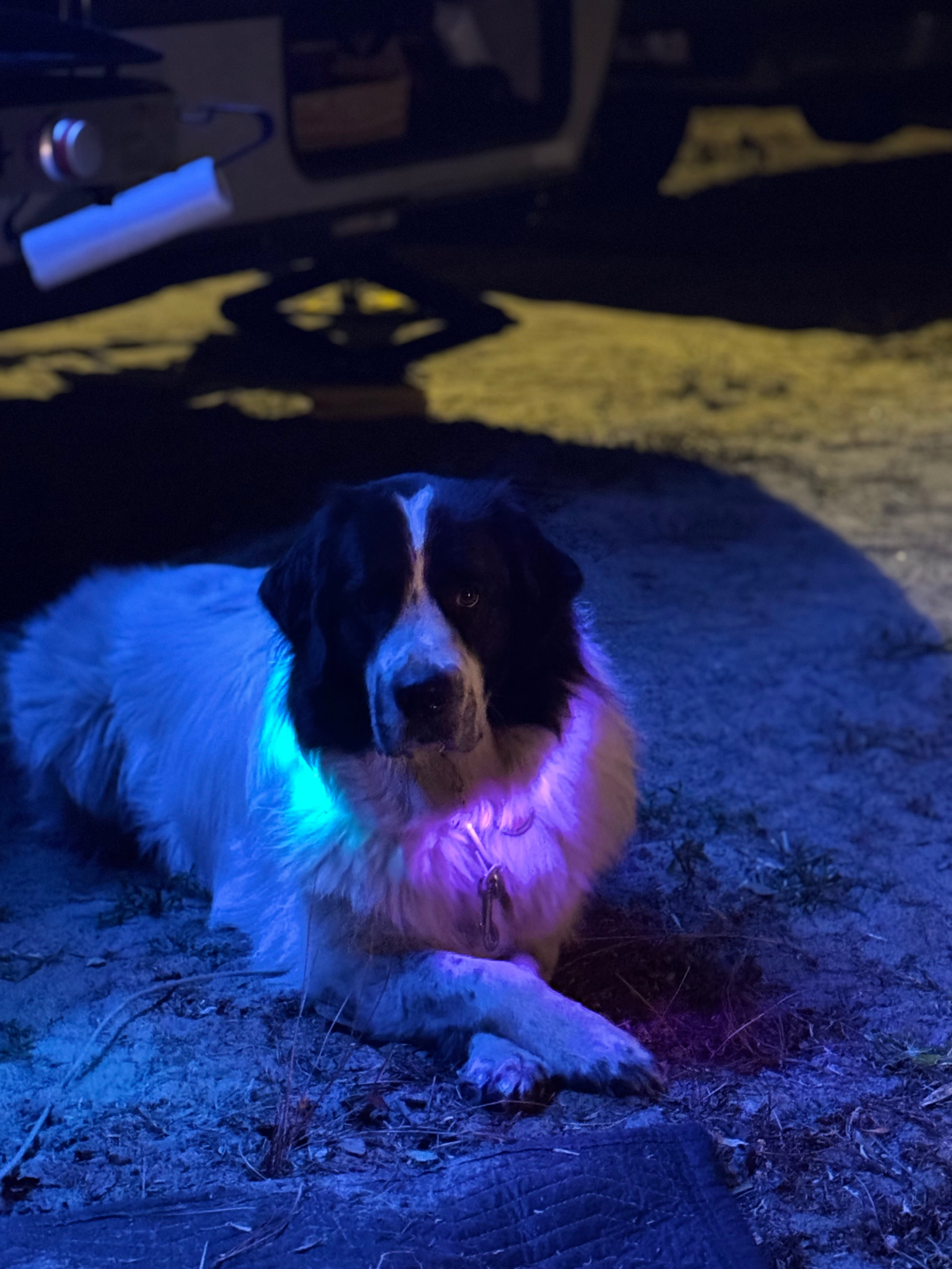 Private Pets Welcome Full Hook Up !