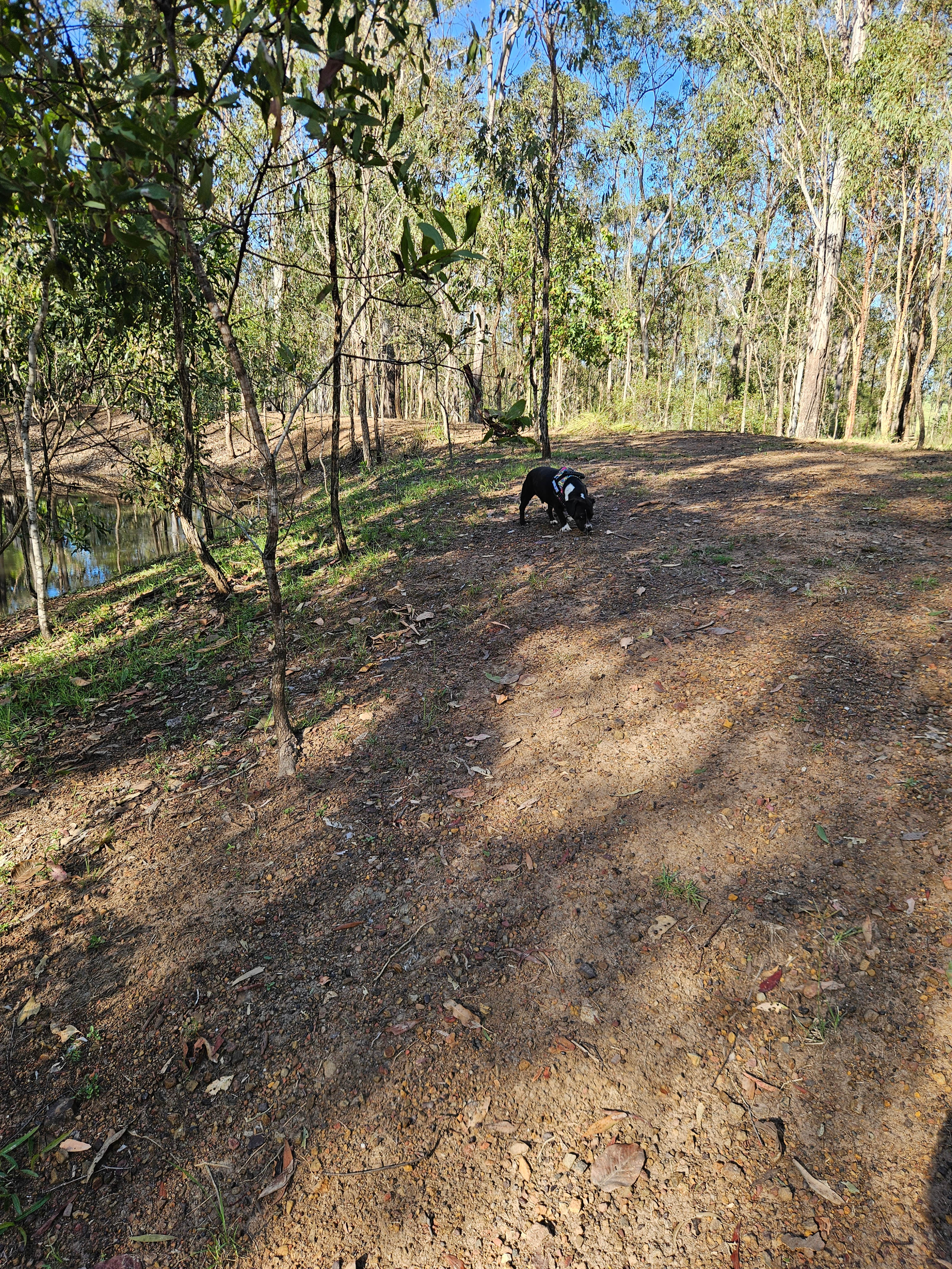 TLC - The Luke’s Compound