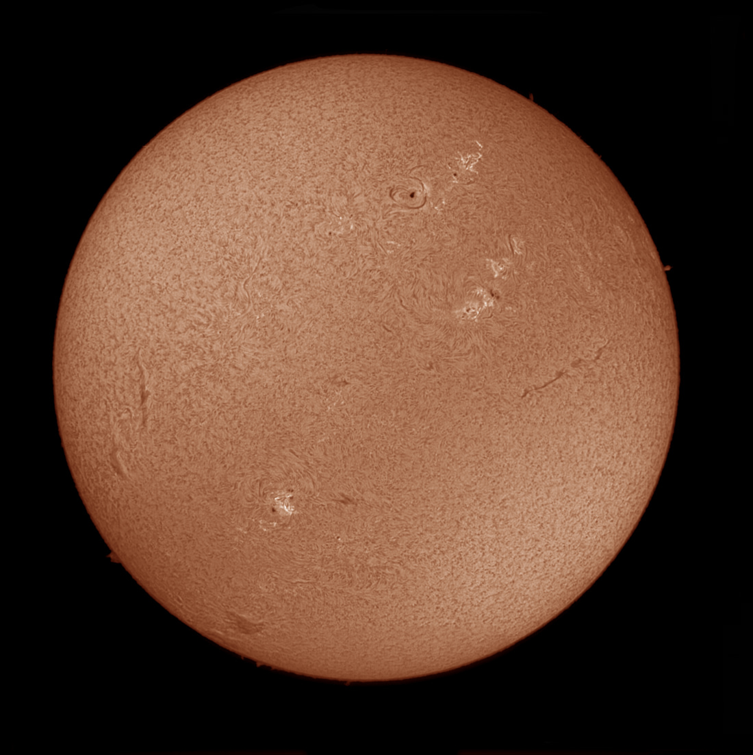 Solar astronomy sessions available $30 for 30 minute session 