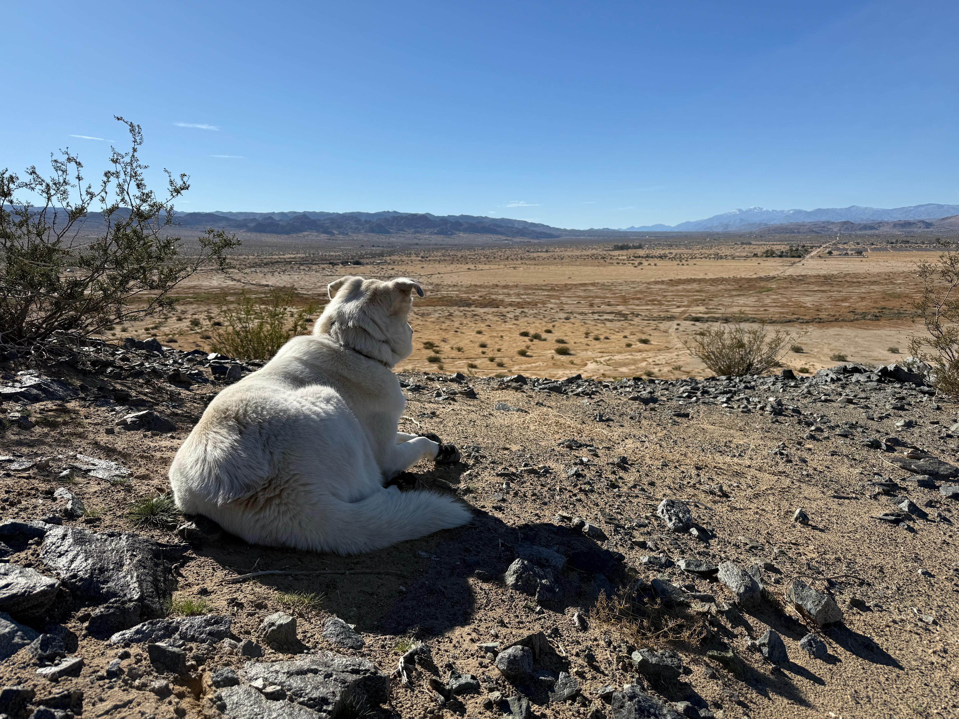 Private 40 Acre Primitive Camp