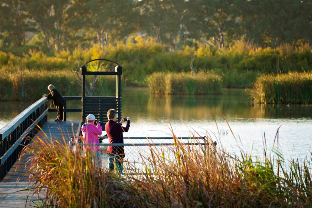BIG4 Mannum Holiday Park