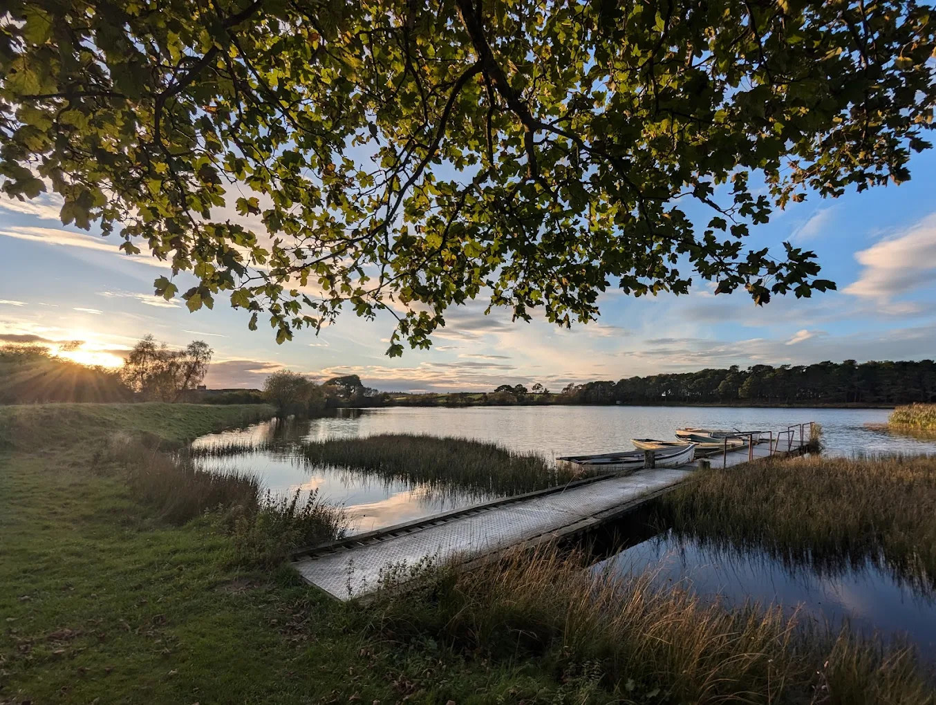 Langley Dam Glamping