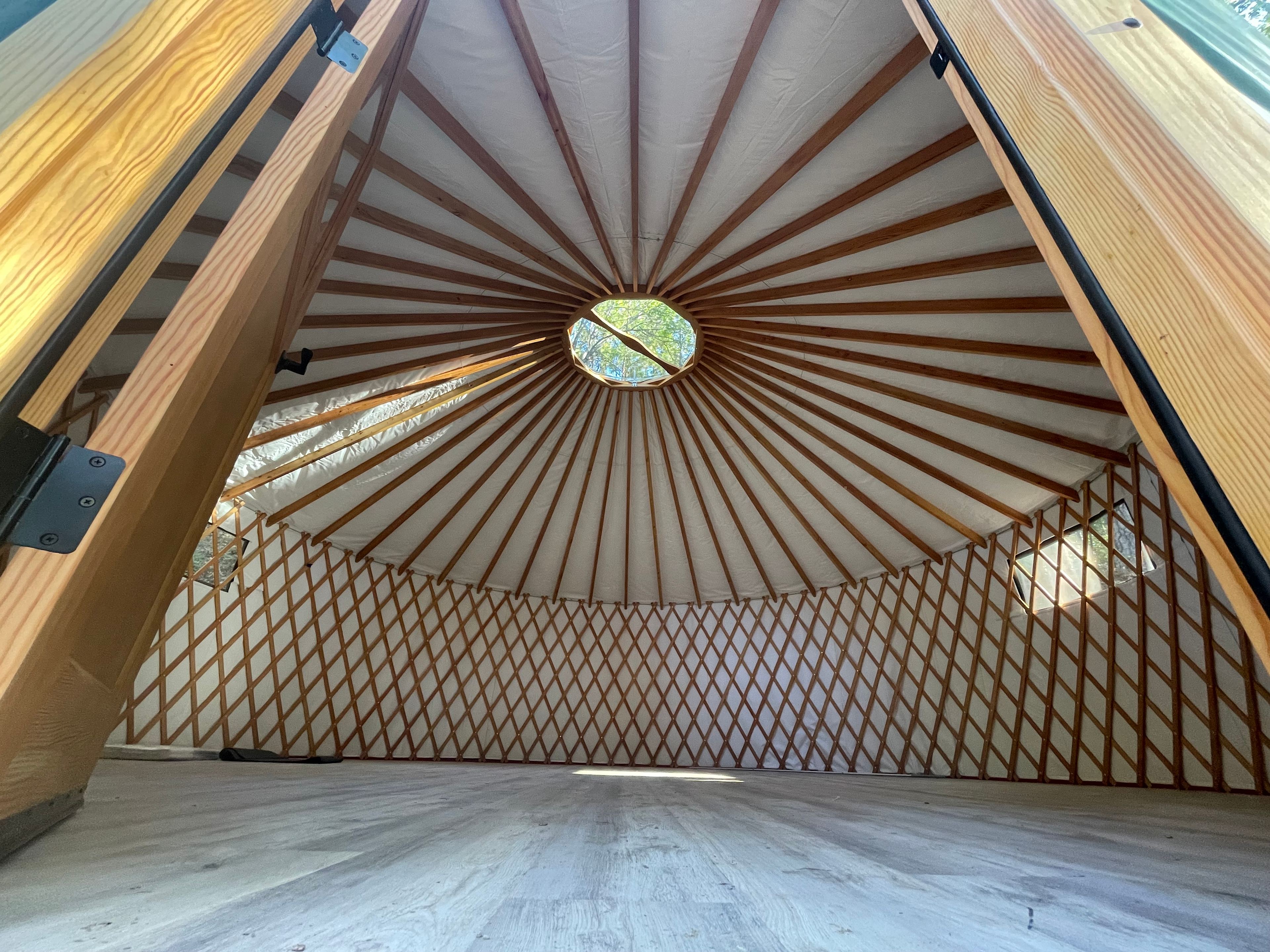 The Black Oak Forest