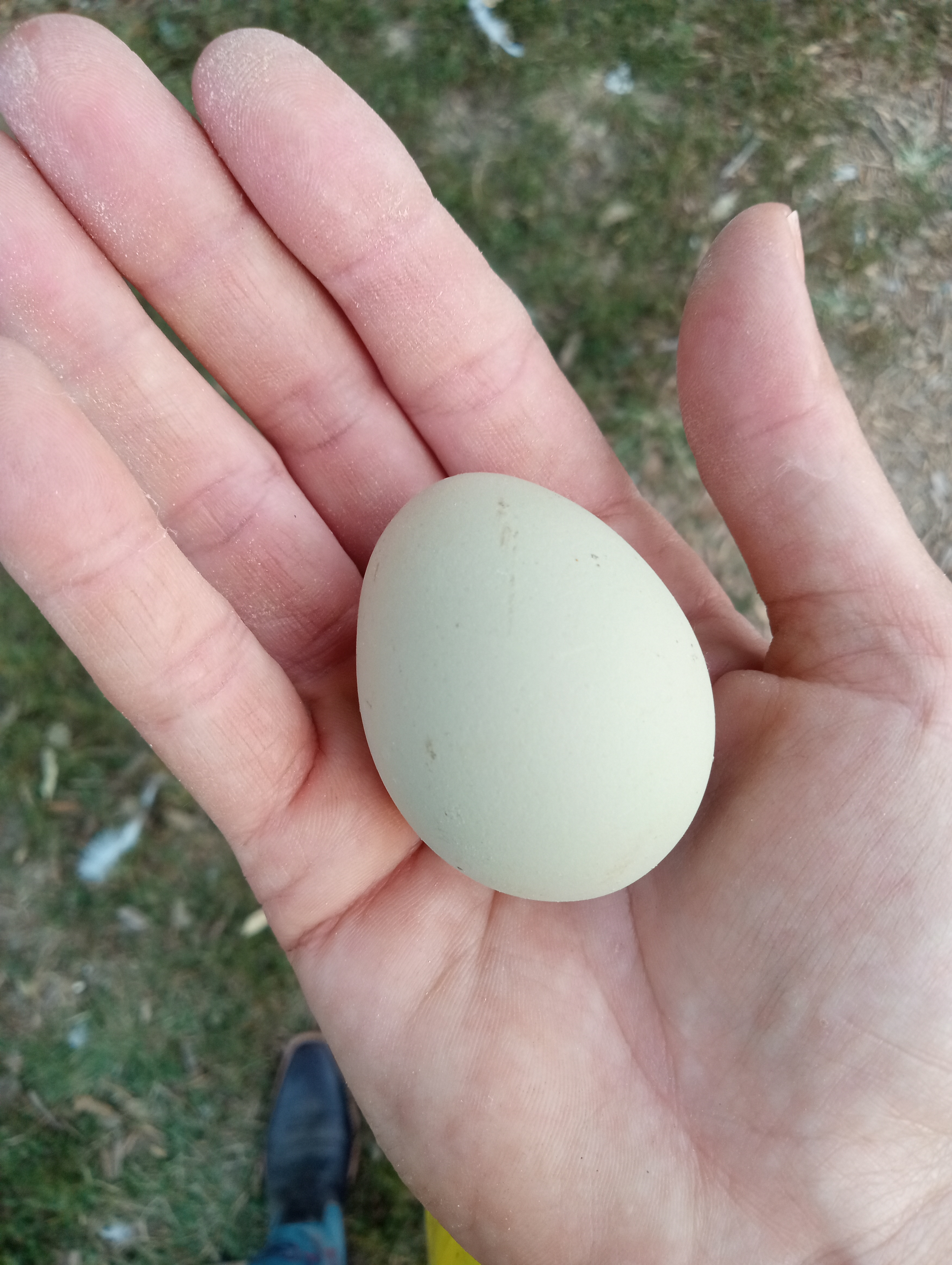 Somewhere Over The Rainbow