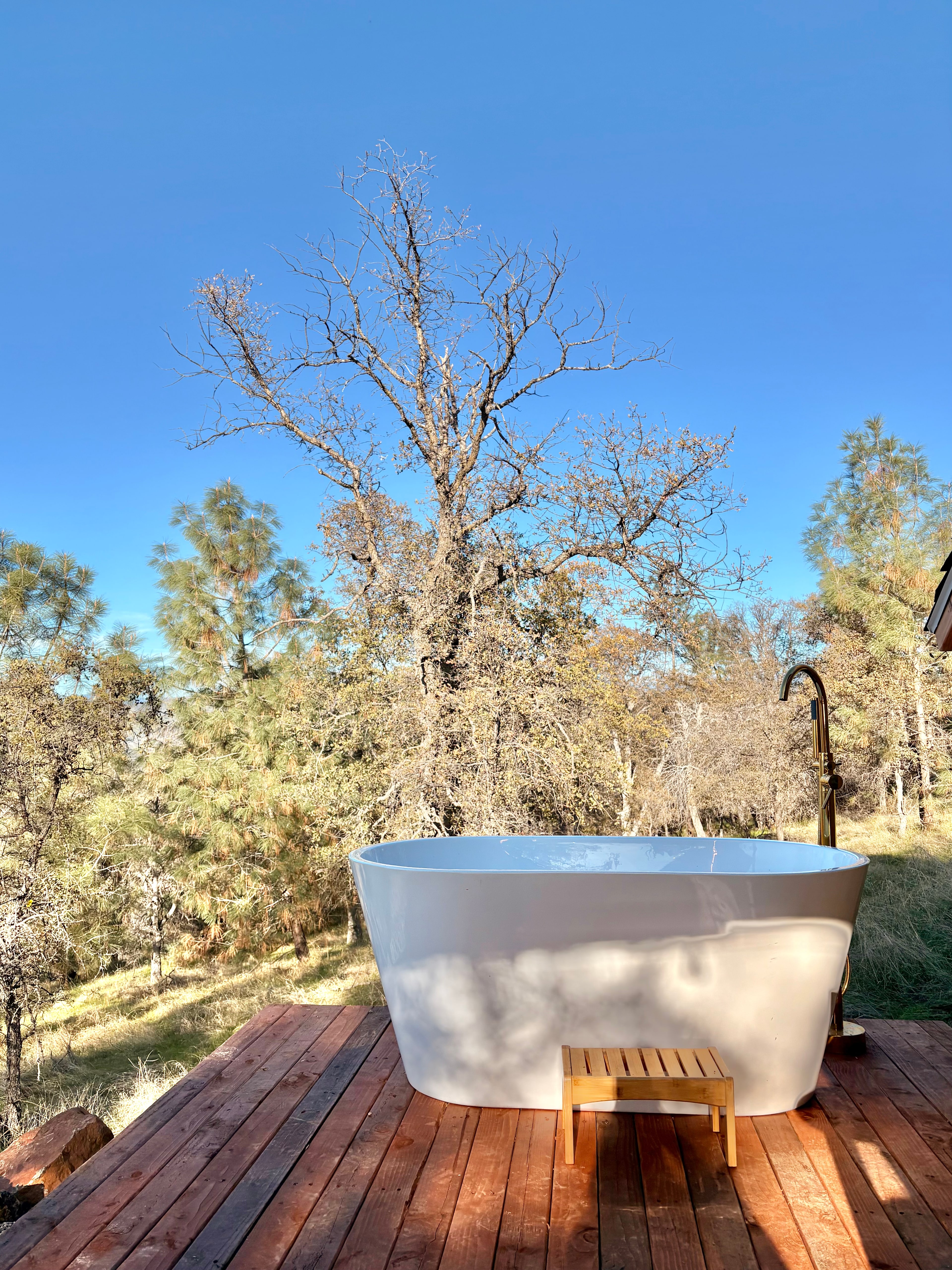 WILDER BUNGALOW n/Yosemite!