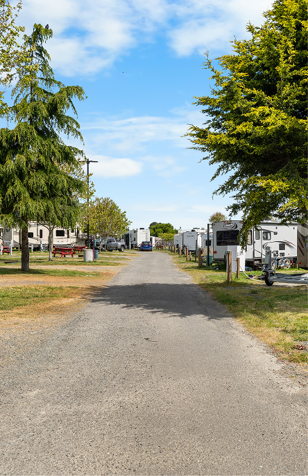 The Retreat At Redwood Shores