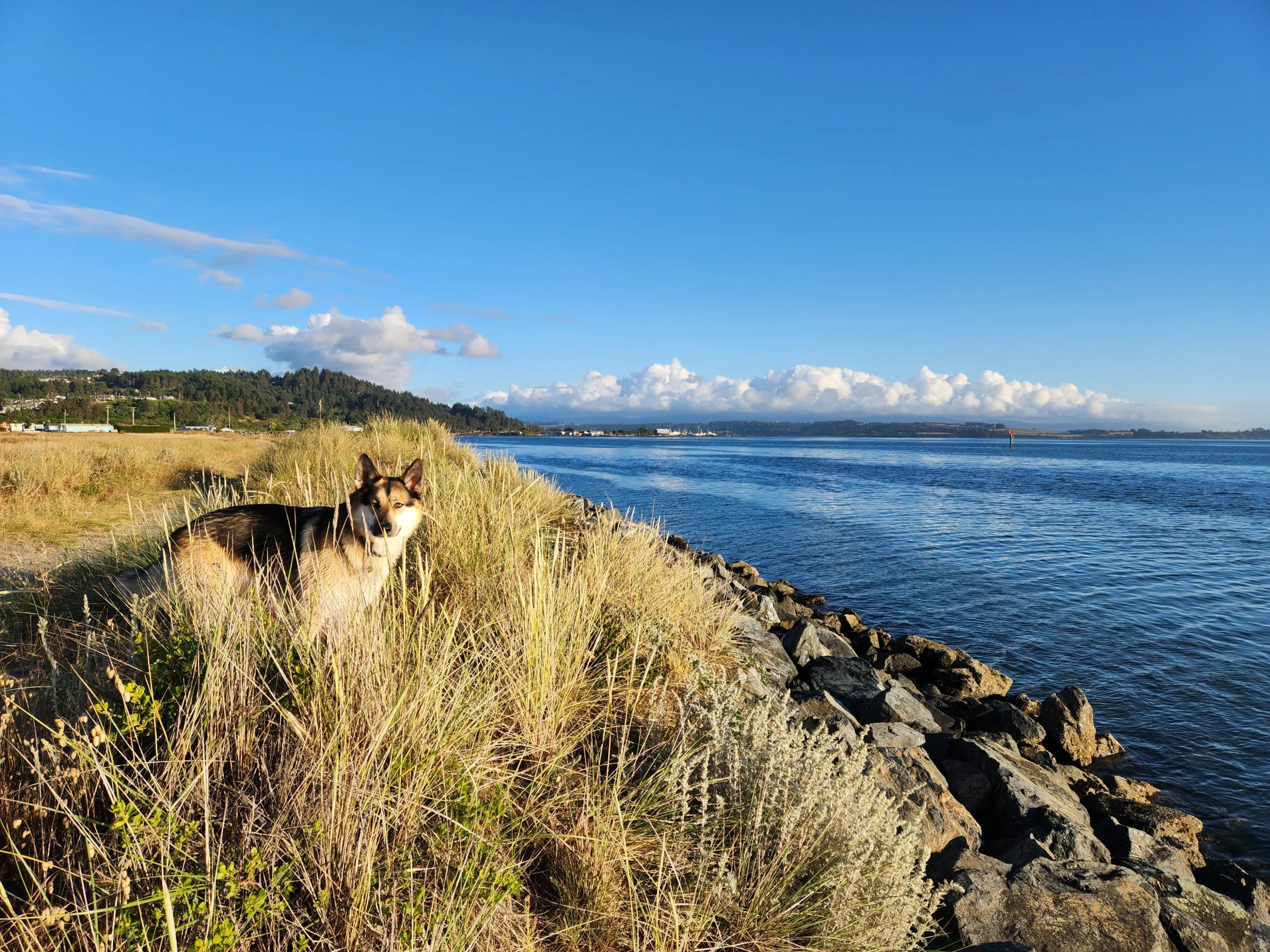 The Retreat At Redwood Shores