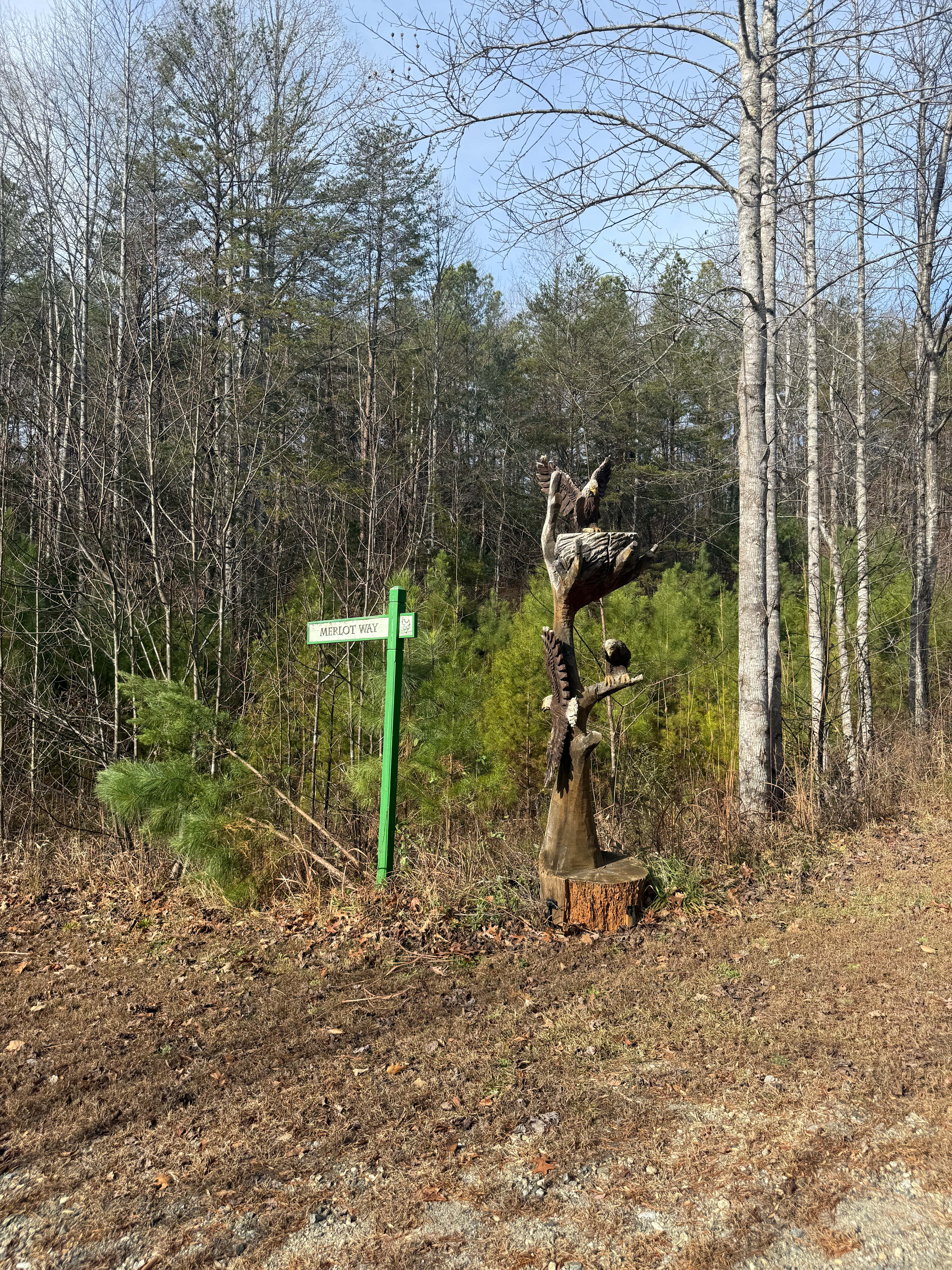 Mike’s Secluded Hideaway Lake Lure