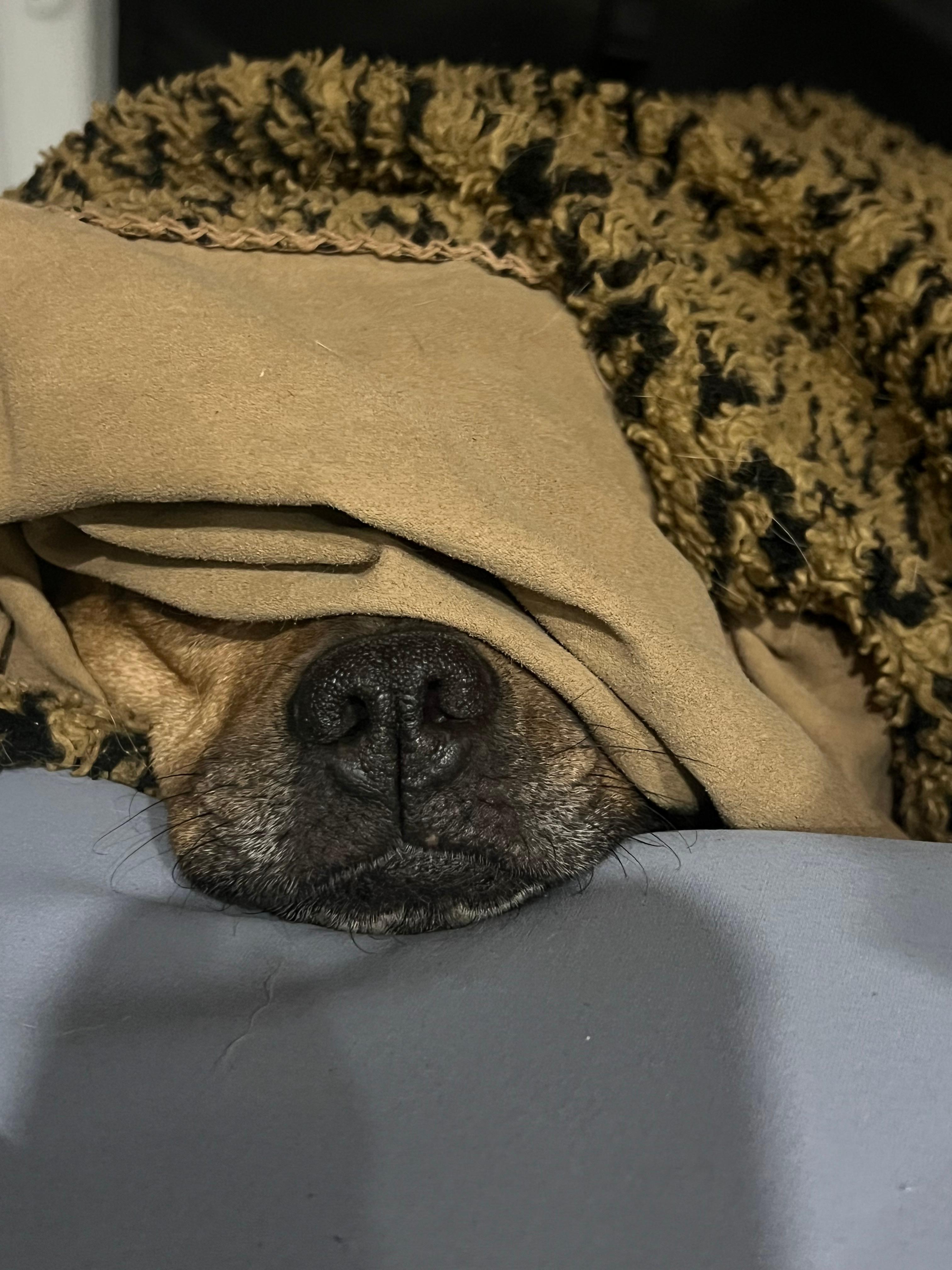 Bella Vita Private Resort