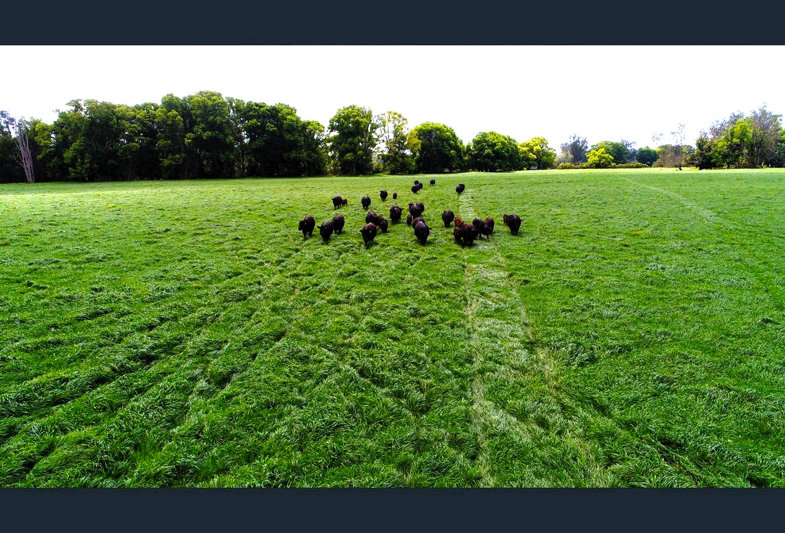 Riverwood 383 Fish off the Banks