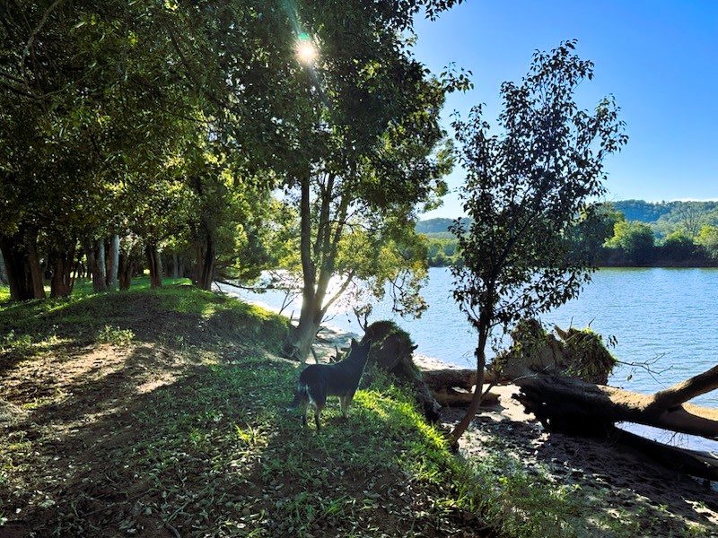 Riverwood 383 Fish off the Banks