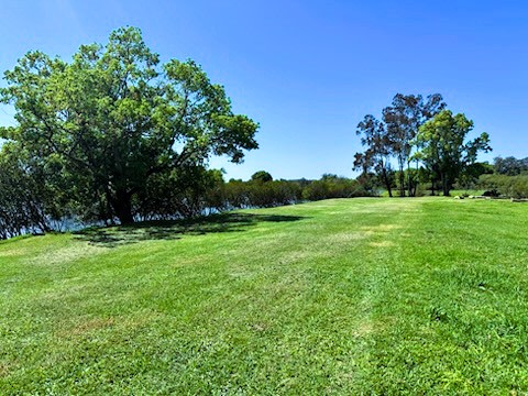 Riverwood 383 Fish off the Banks