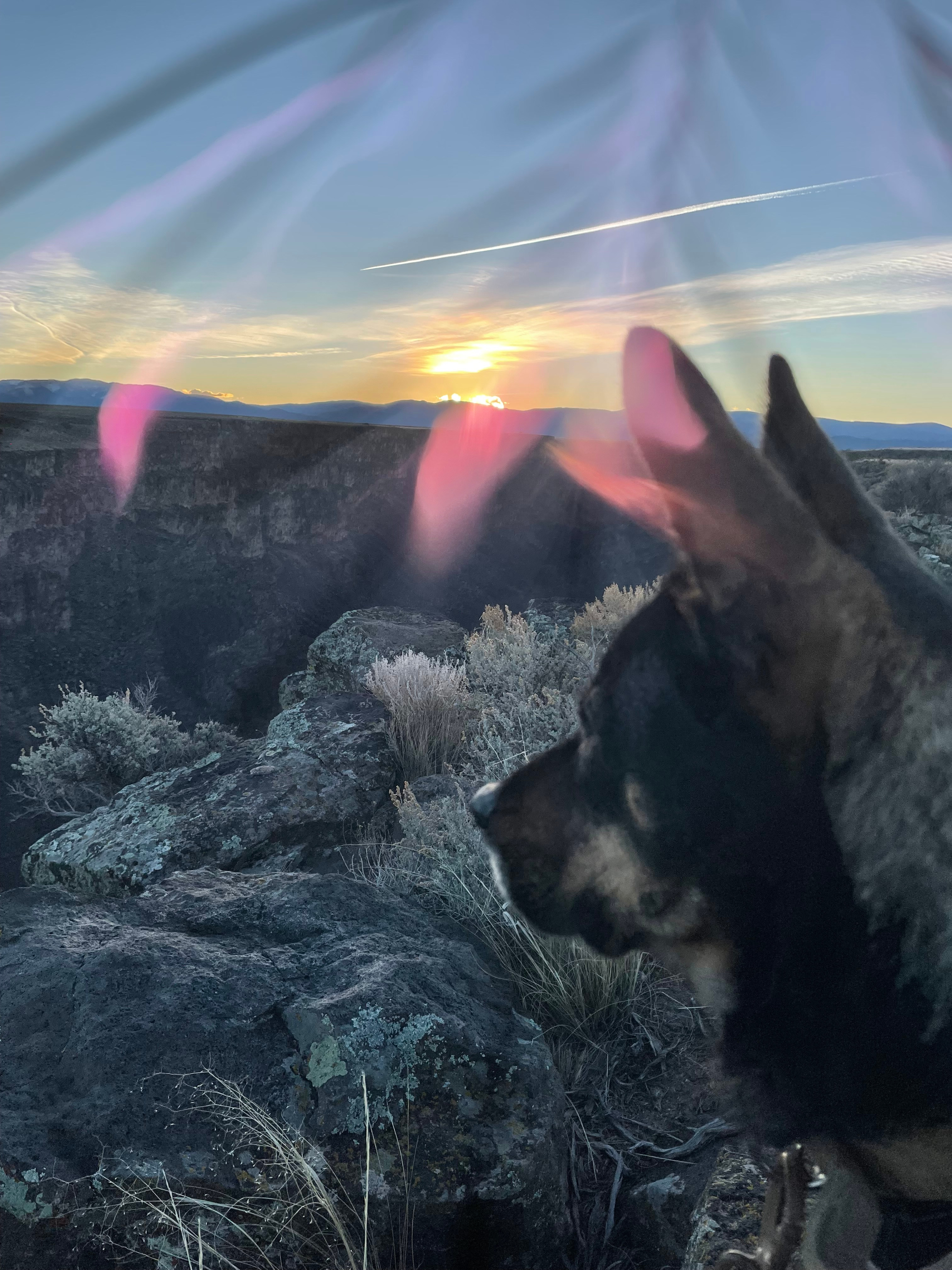 Mystic Mountain Portal