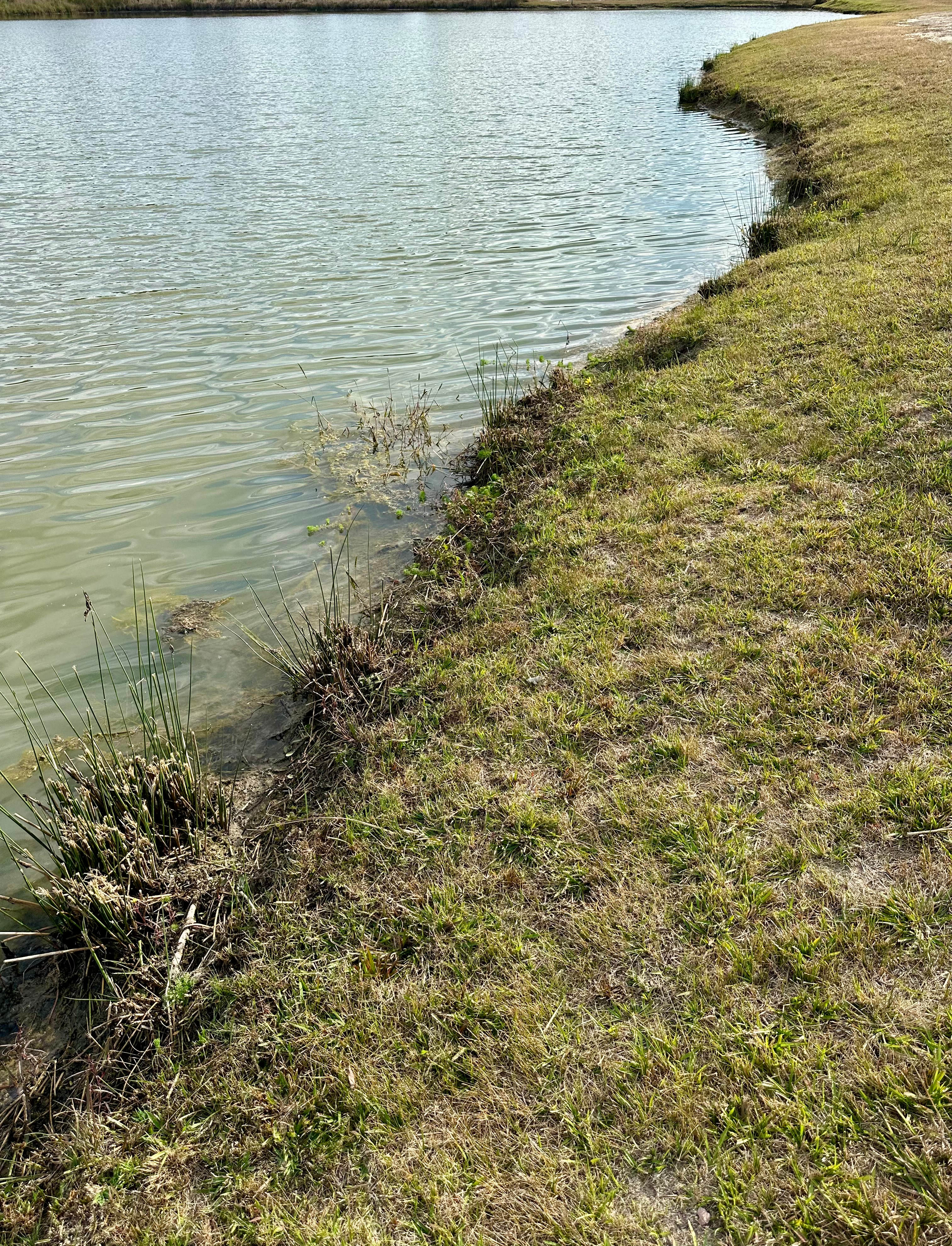 Coastal Pine Fishing Retreat