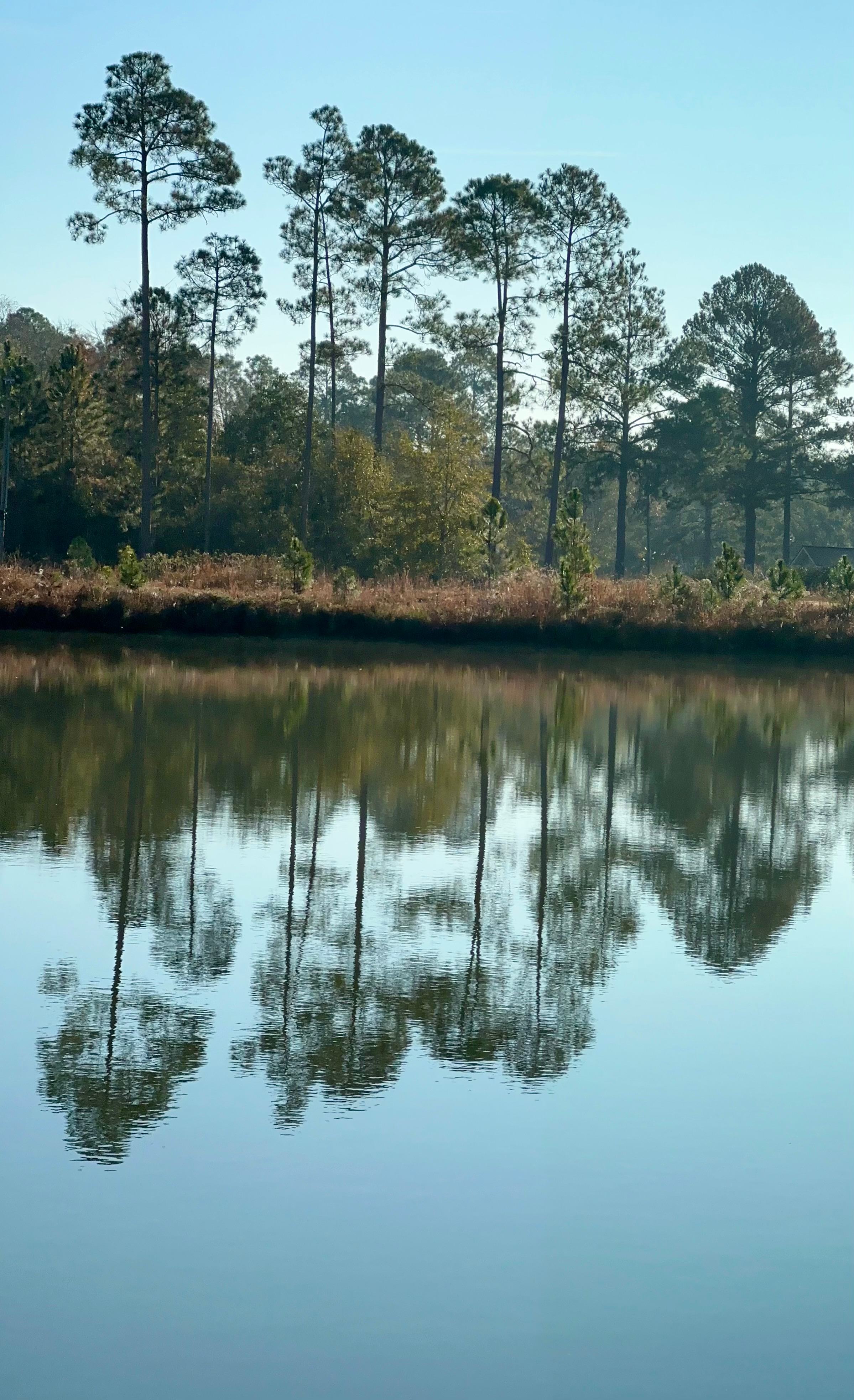 Coastal Pine Fishing Retreat