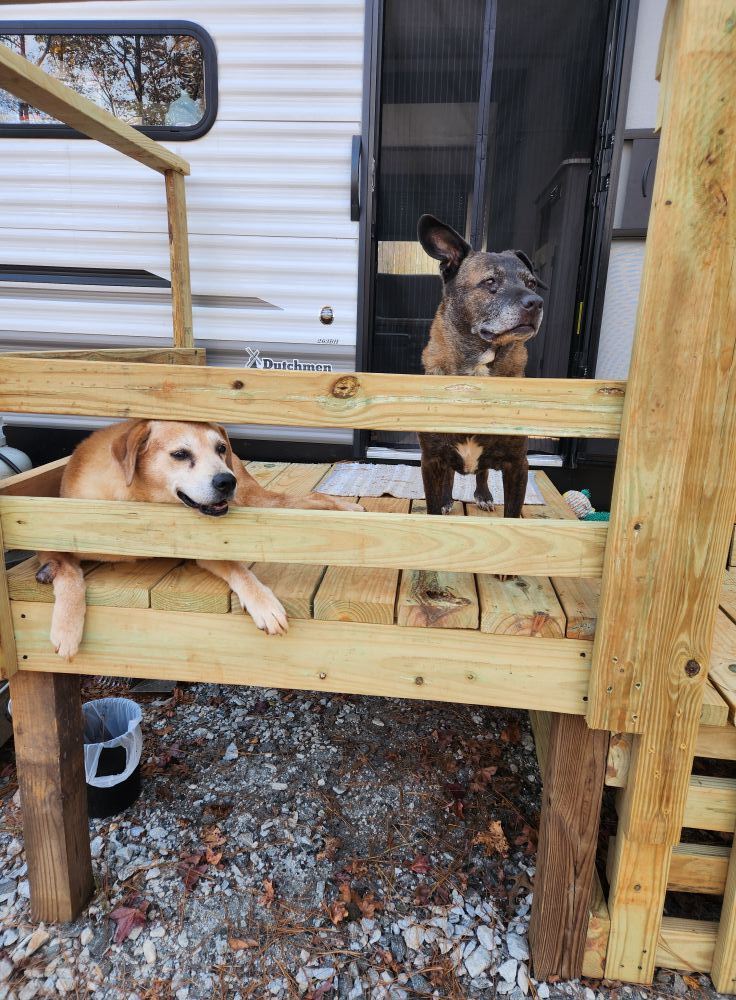 Camp Tails and Trails Pet Friendly