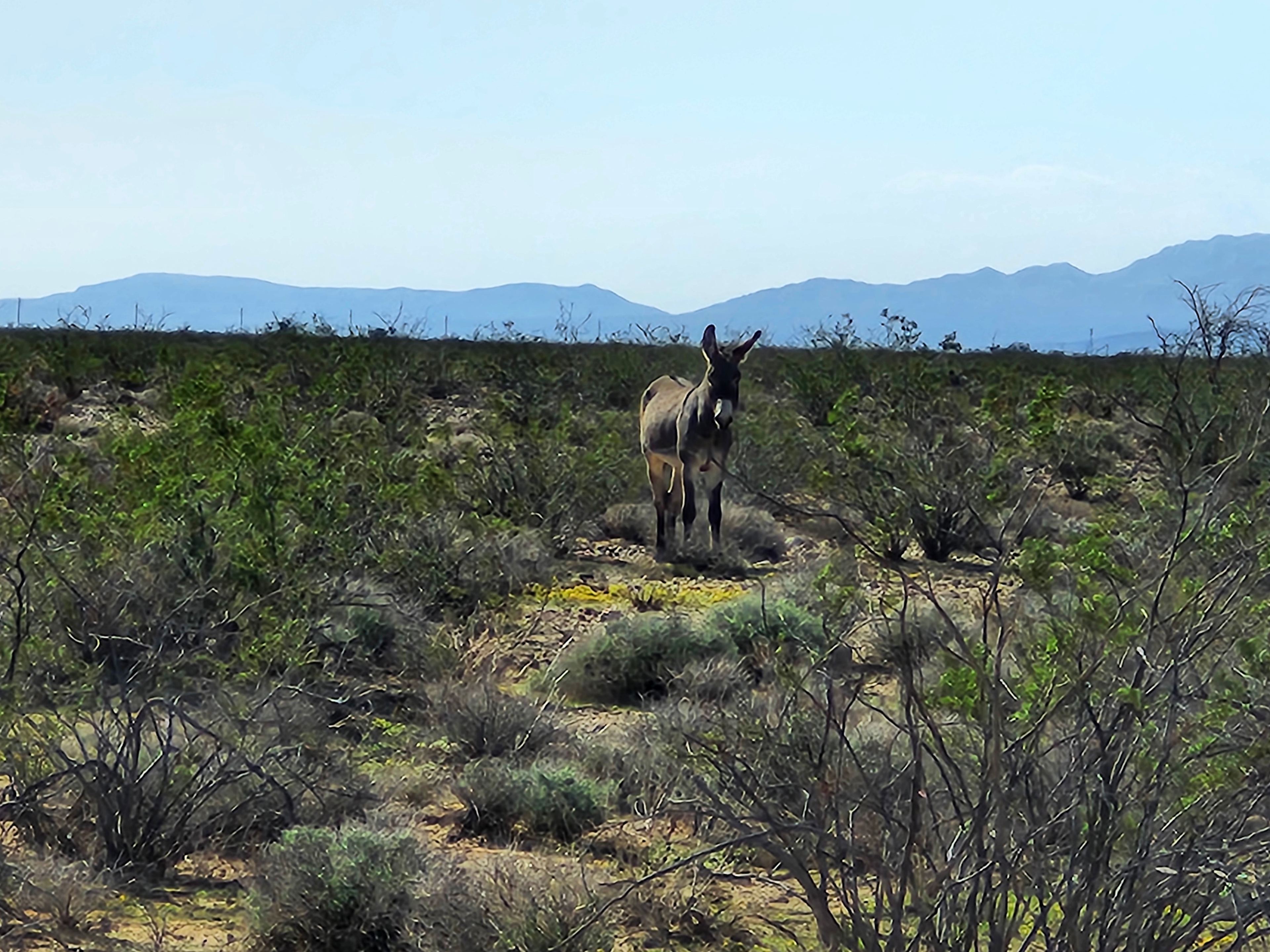 Golden Valley Off-Grid Paradise