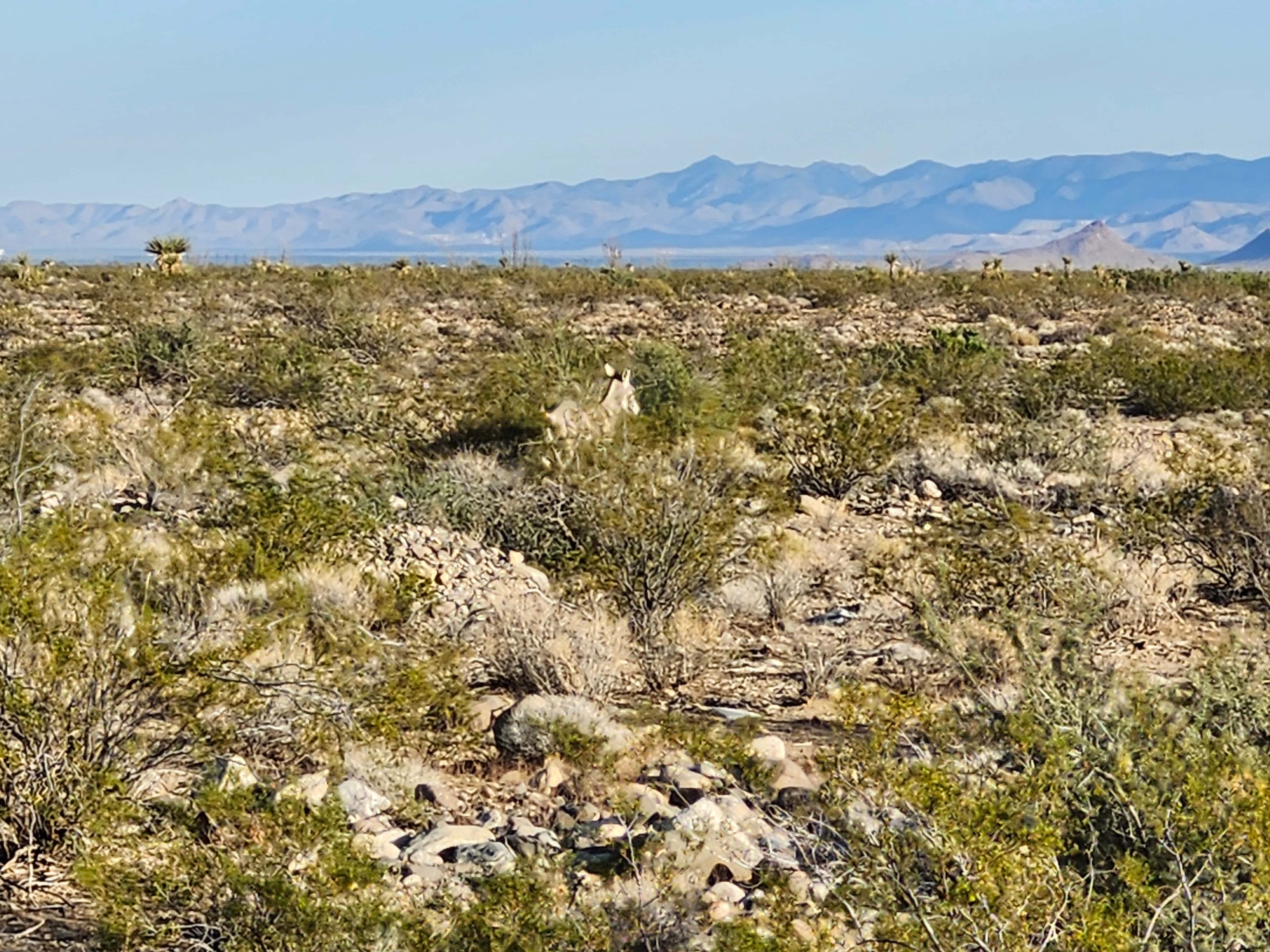 Golden Valley Off-Grid Paradise