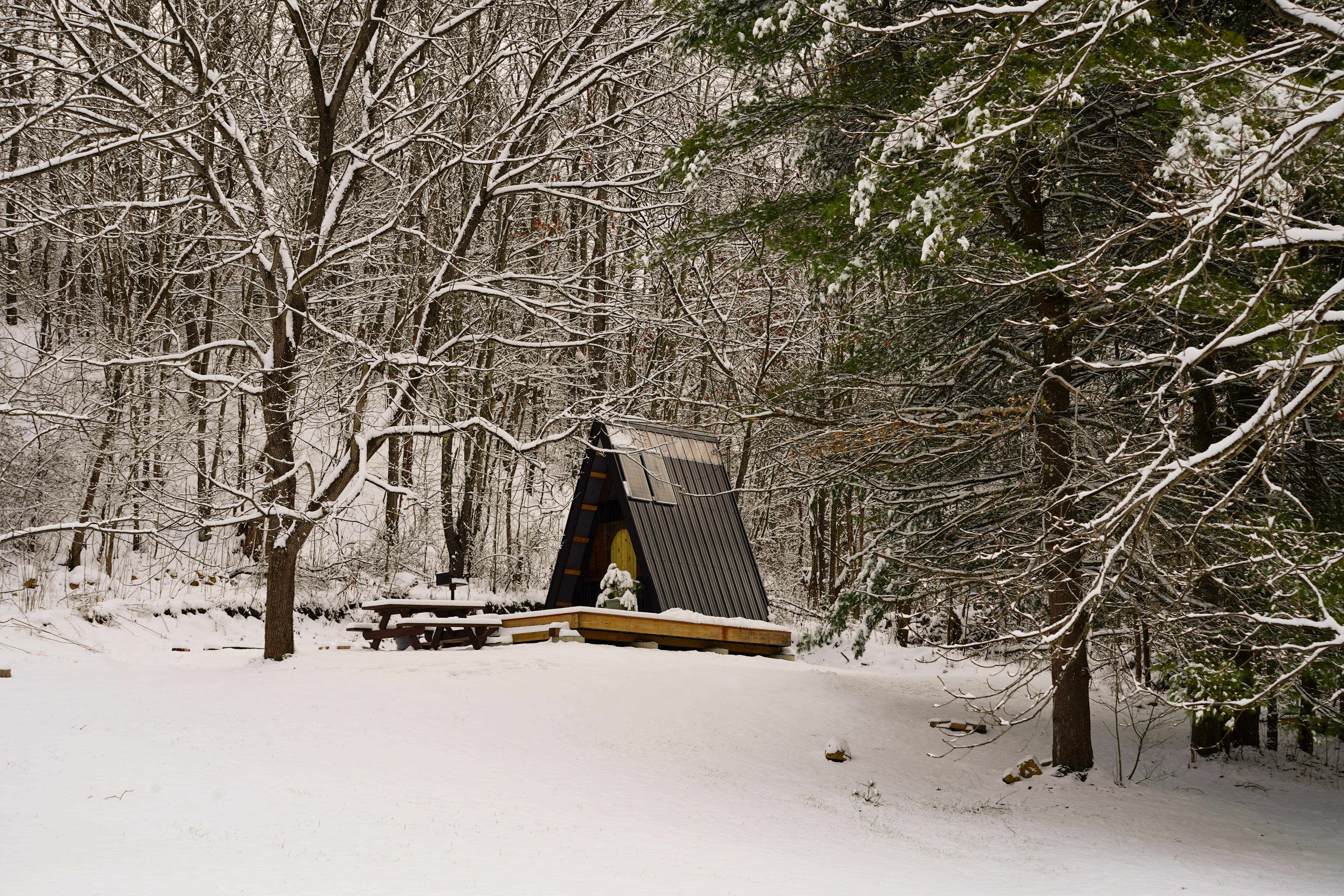 A-frame rustic cabin