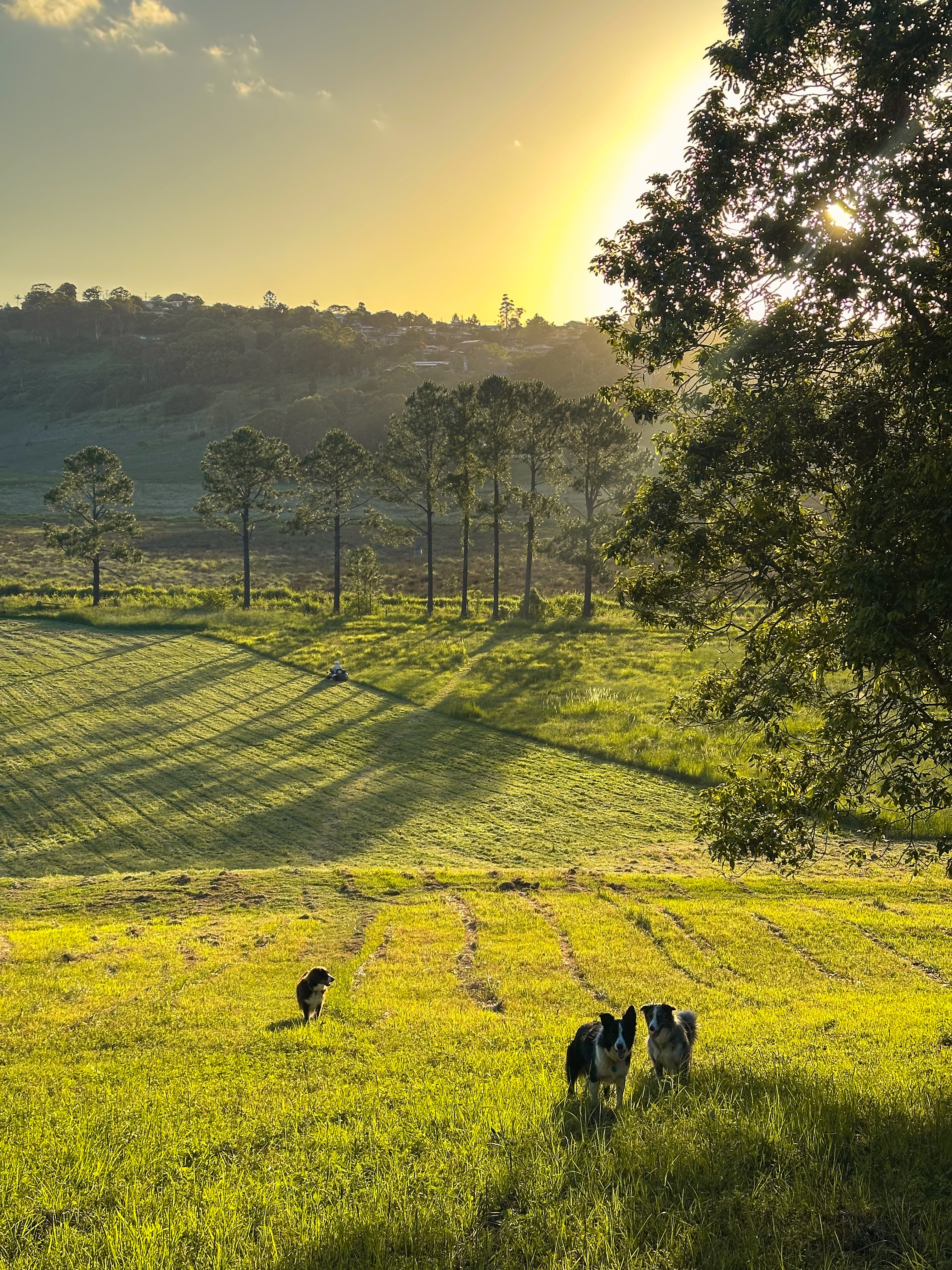 The Ranch at Howards Grass