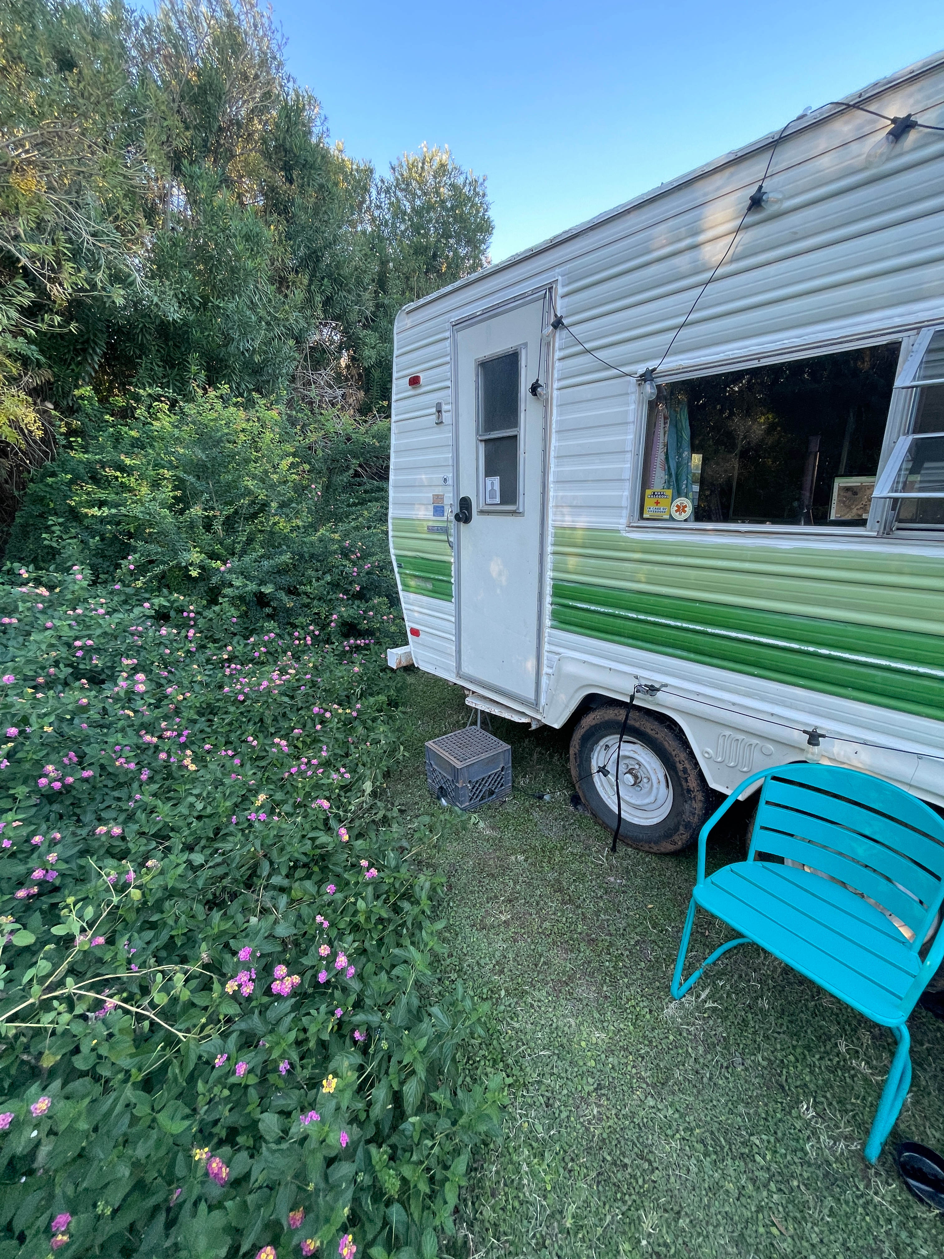 Parked up against the flowers