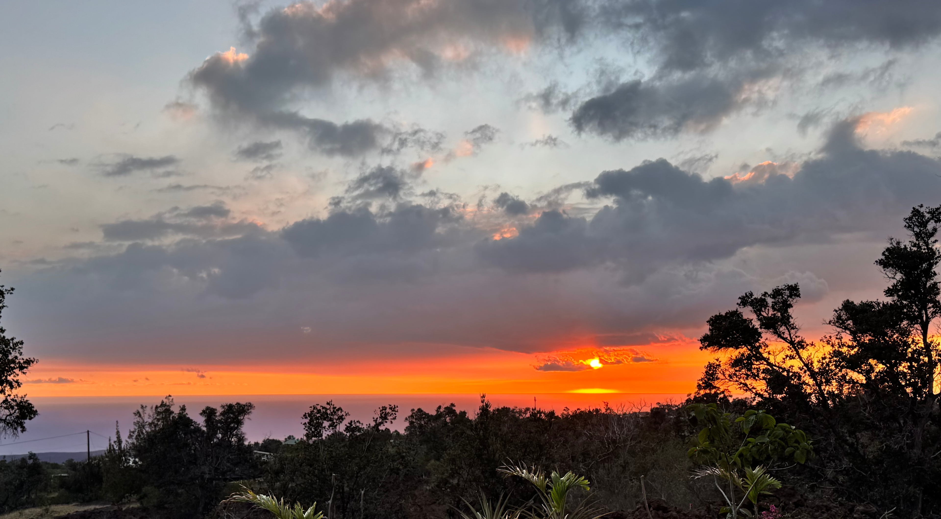 Rancho Gecko Ocean View