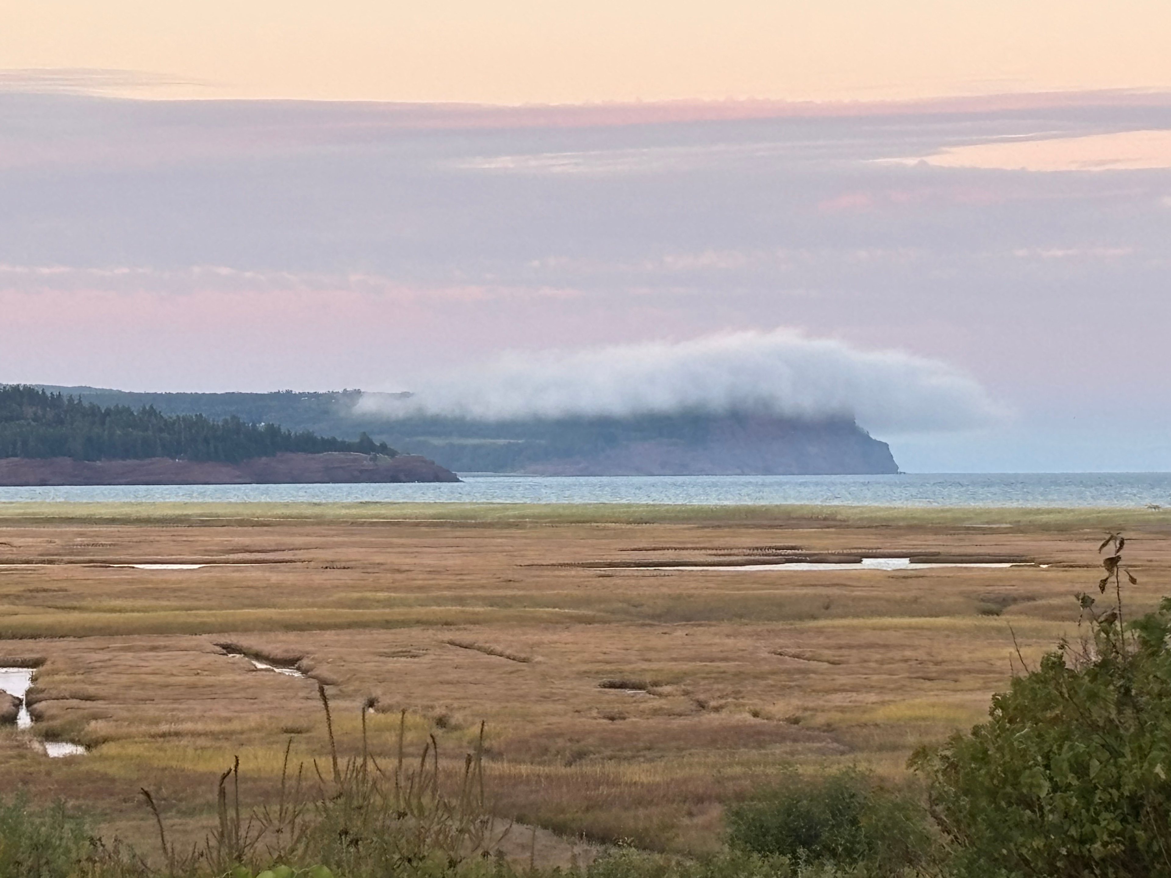 Clowater Land & Cattle Farm Stay