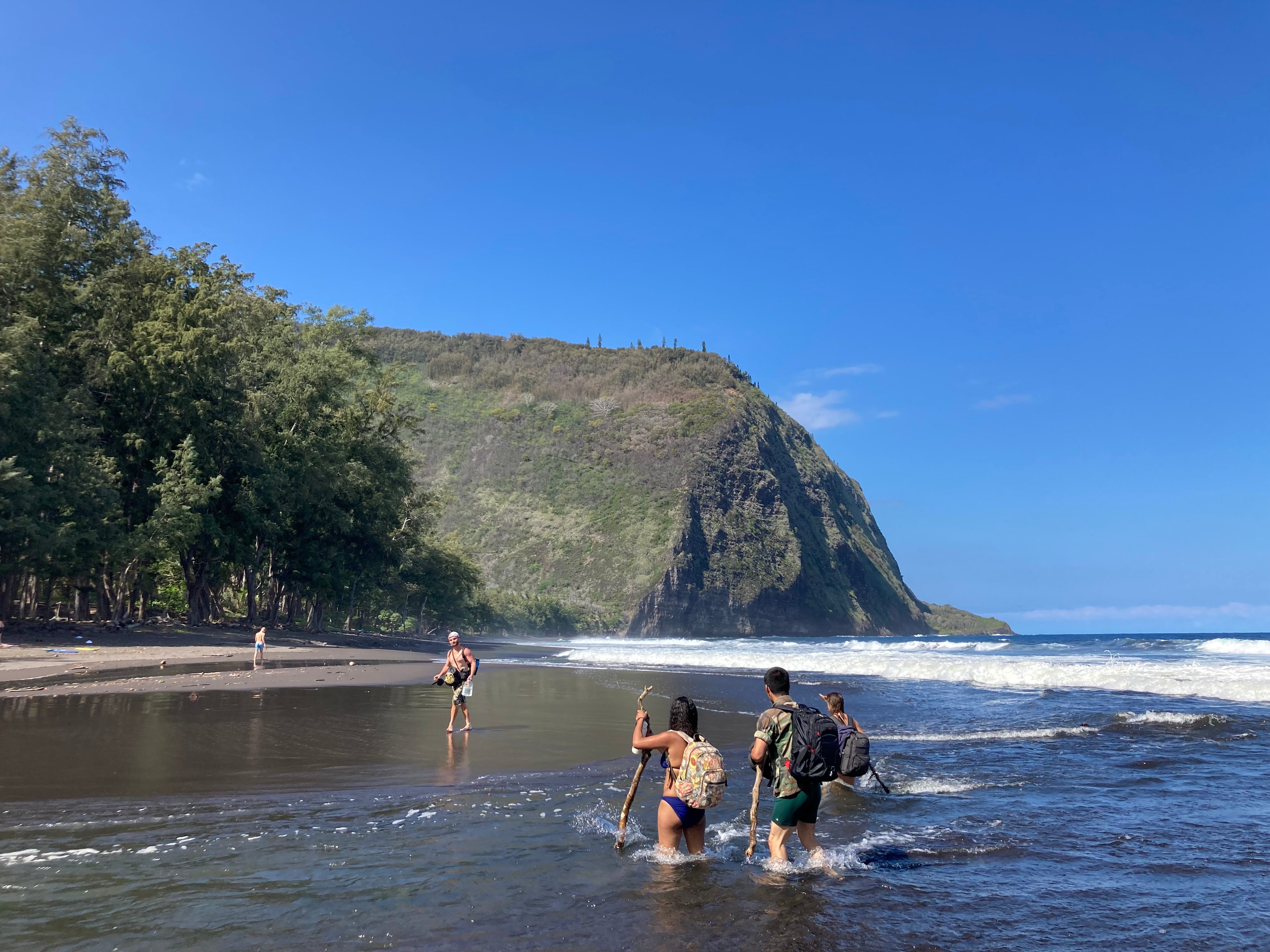 Waipio KOA