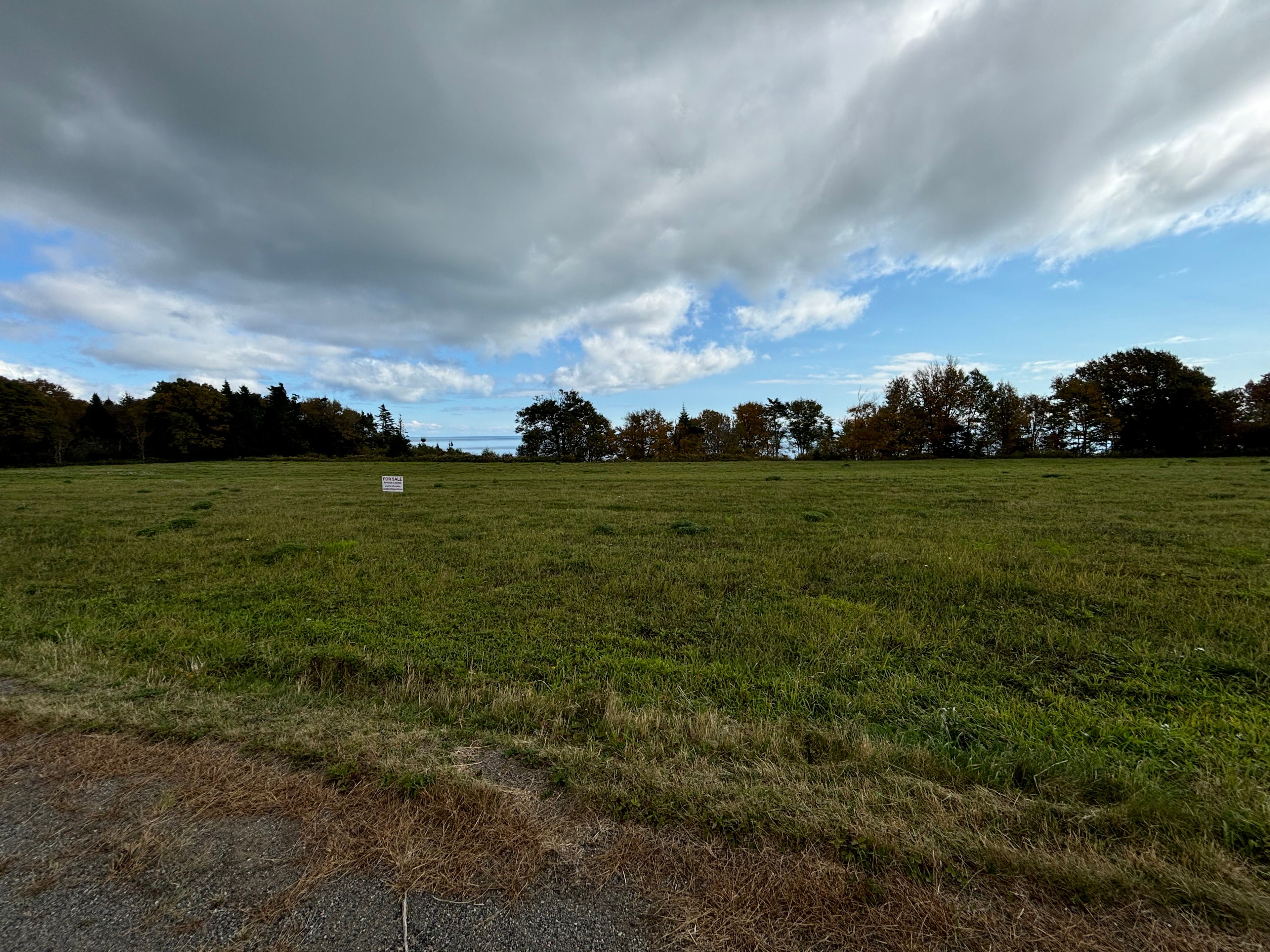 Clowater Land & Cattle Farm Stay