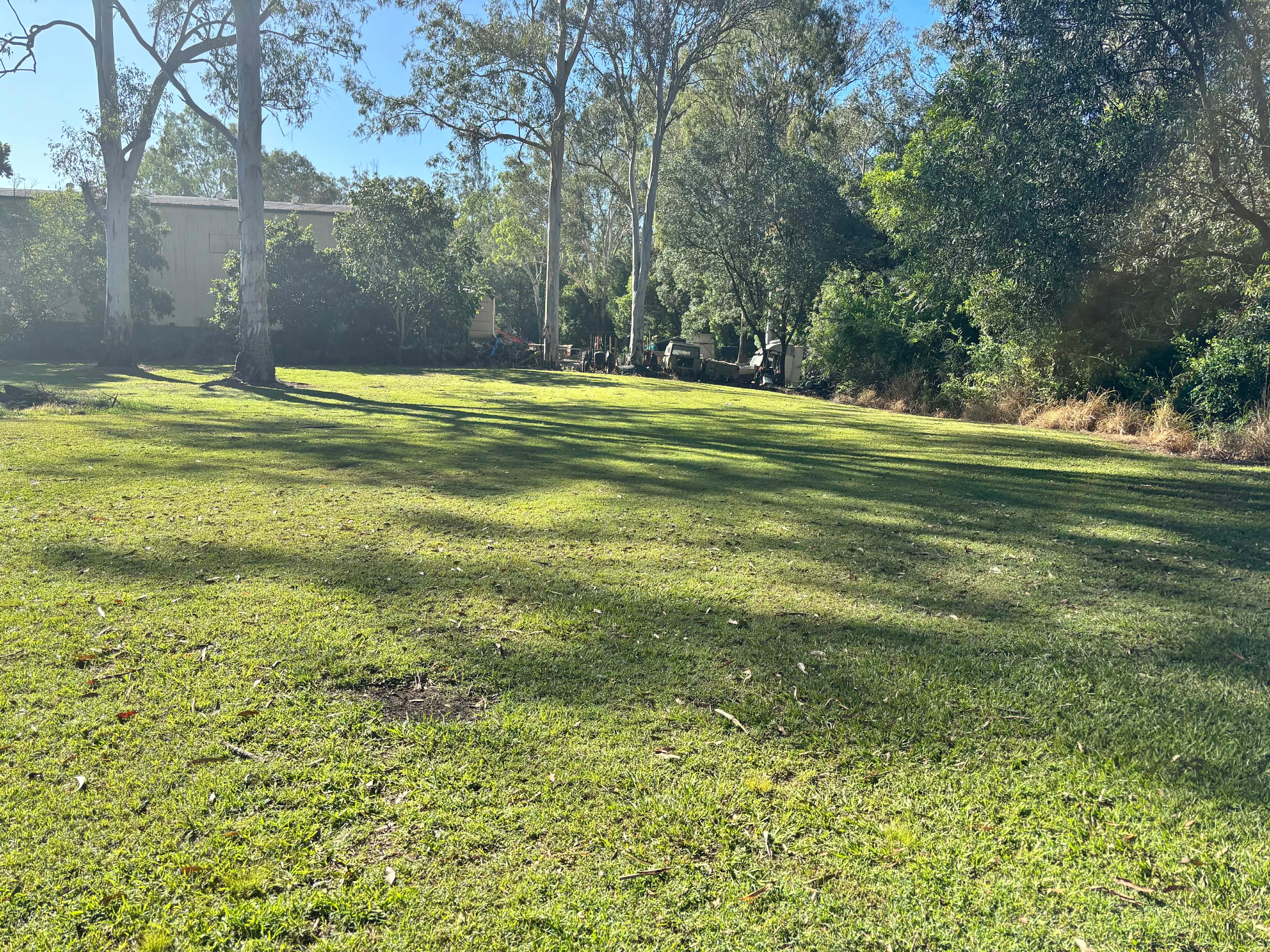 Apple Tree Creek Camping