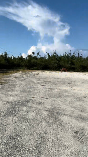 Joy Bamboo Forest Farm