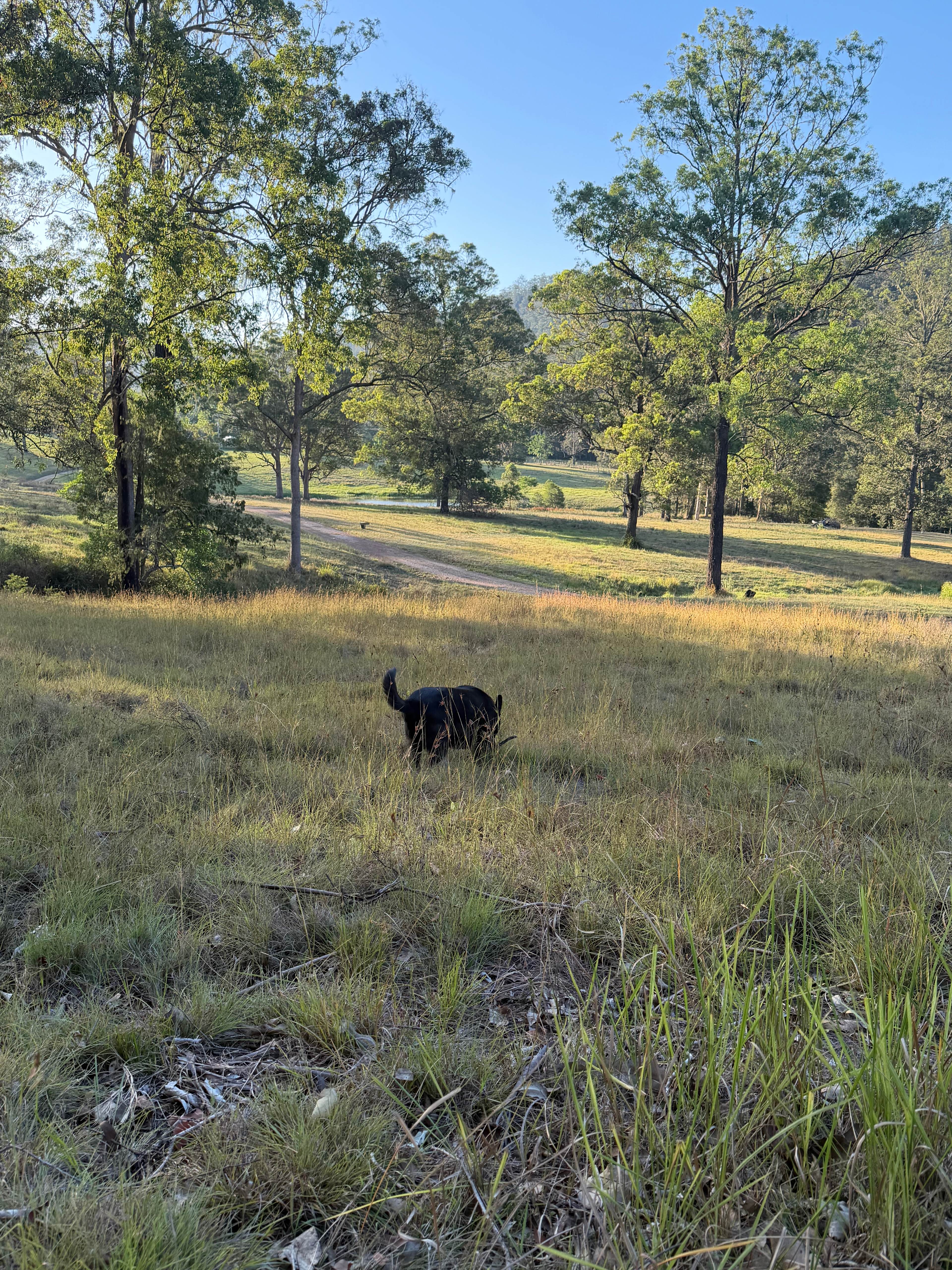 'Peaceful' Mistan Valley Farm
