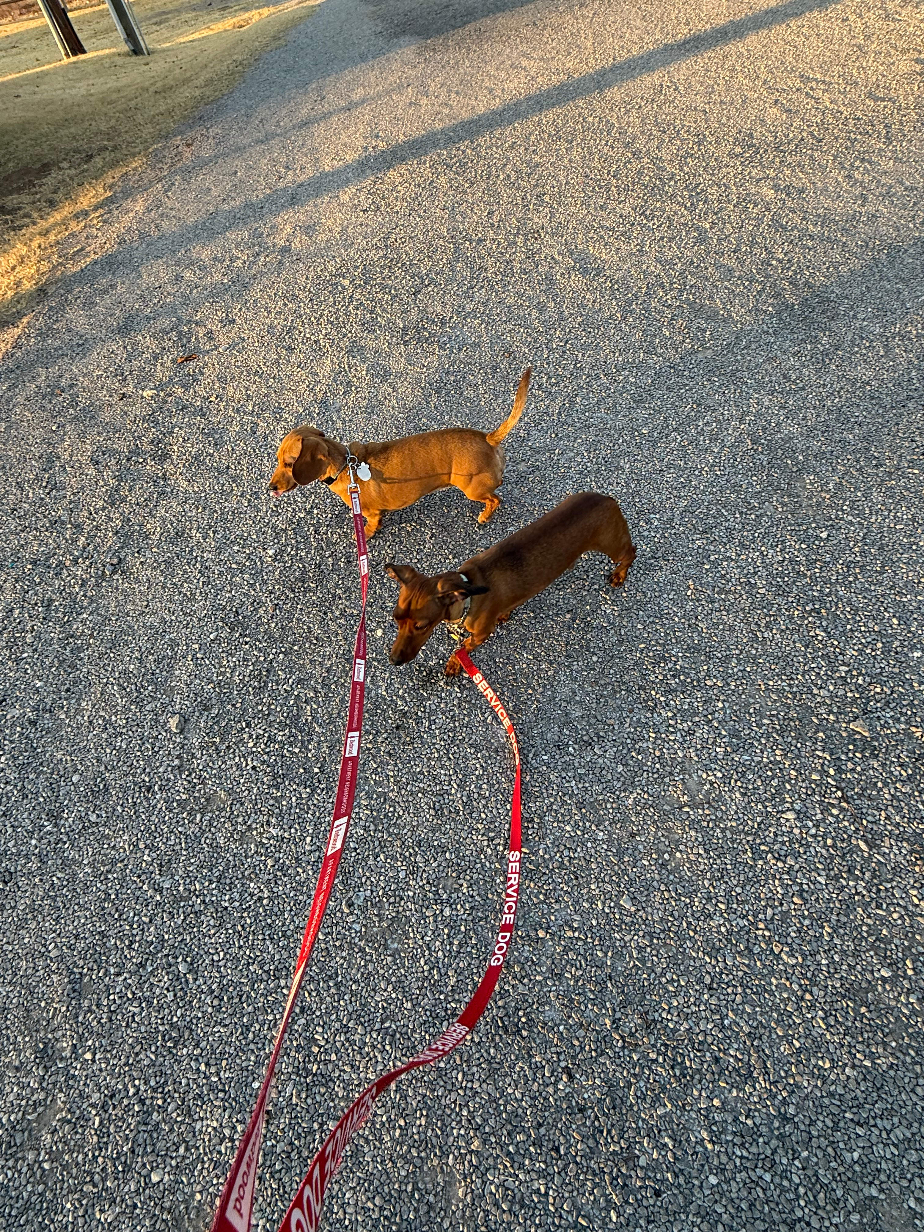Redbud Tiny Home & RV Resort