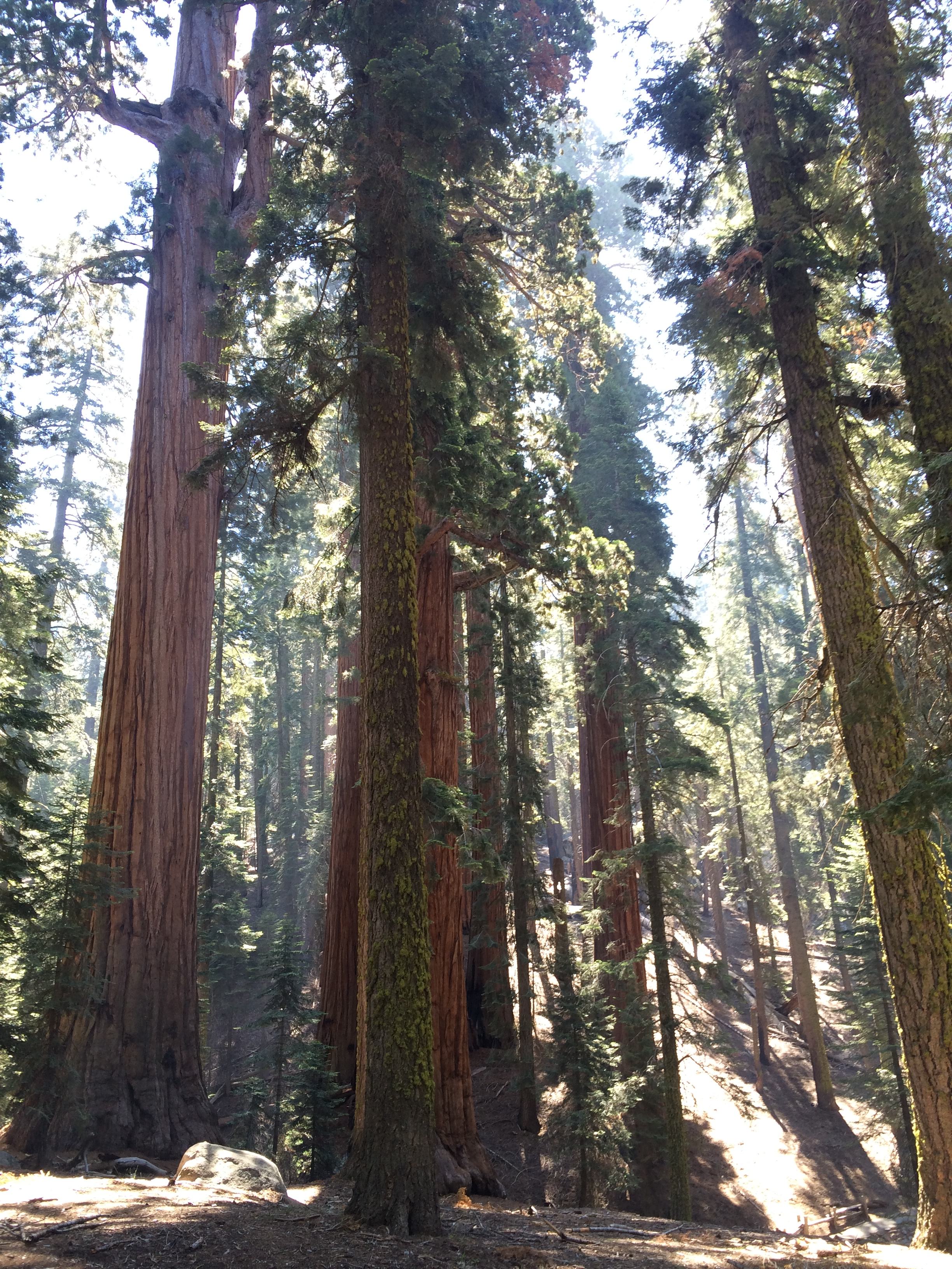 South Fork Campground