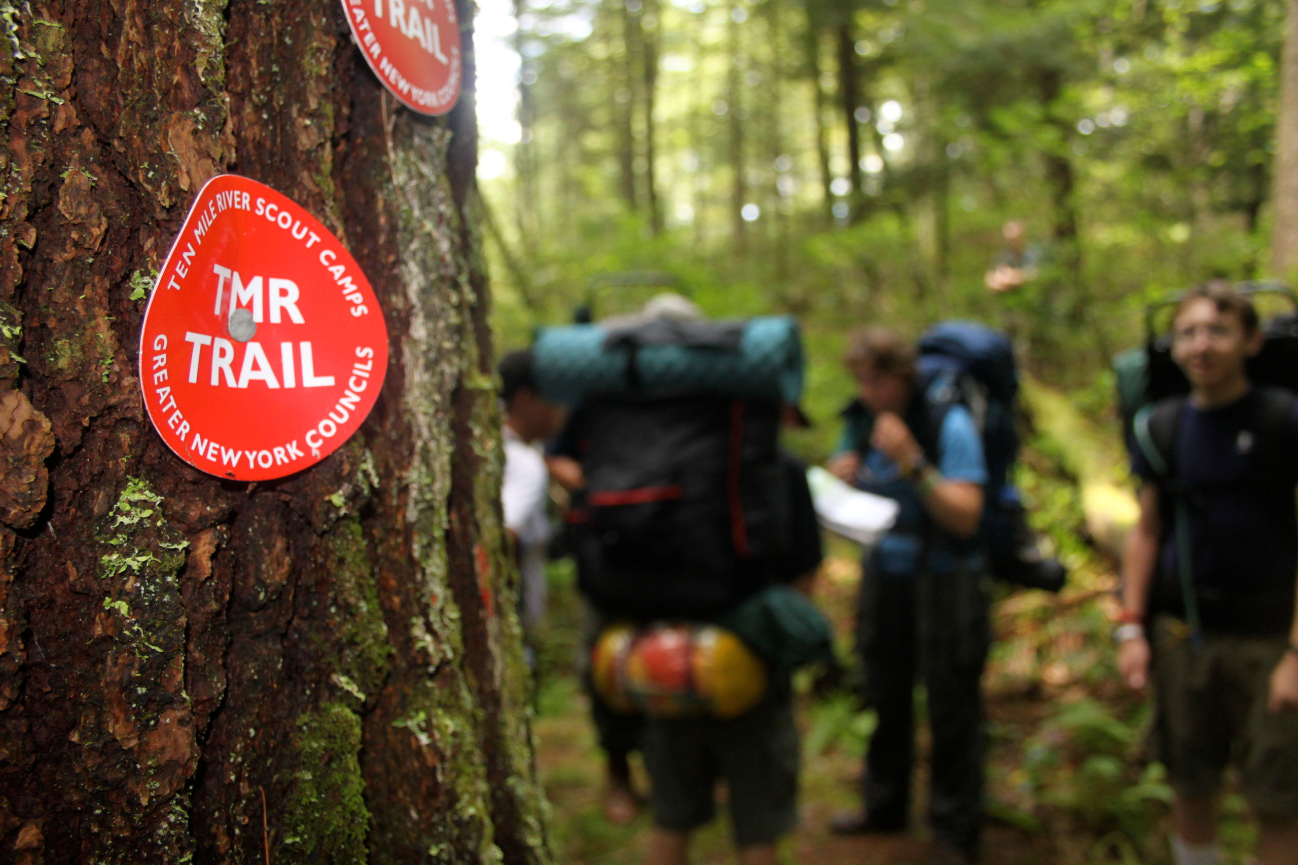 Ten Mile River: Lakeside Cabins