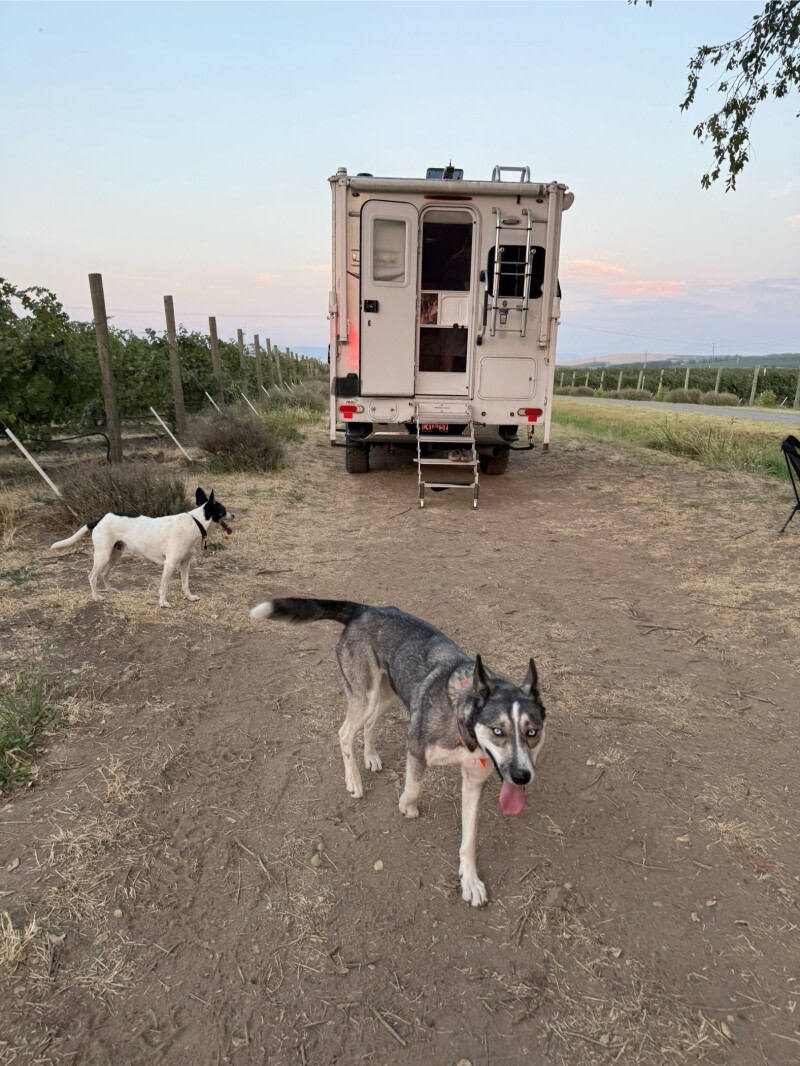 Windrow Estate Winery