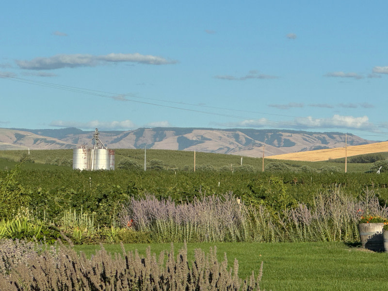 Windrow Estate Winery