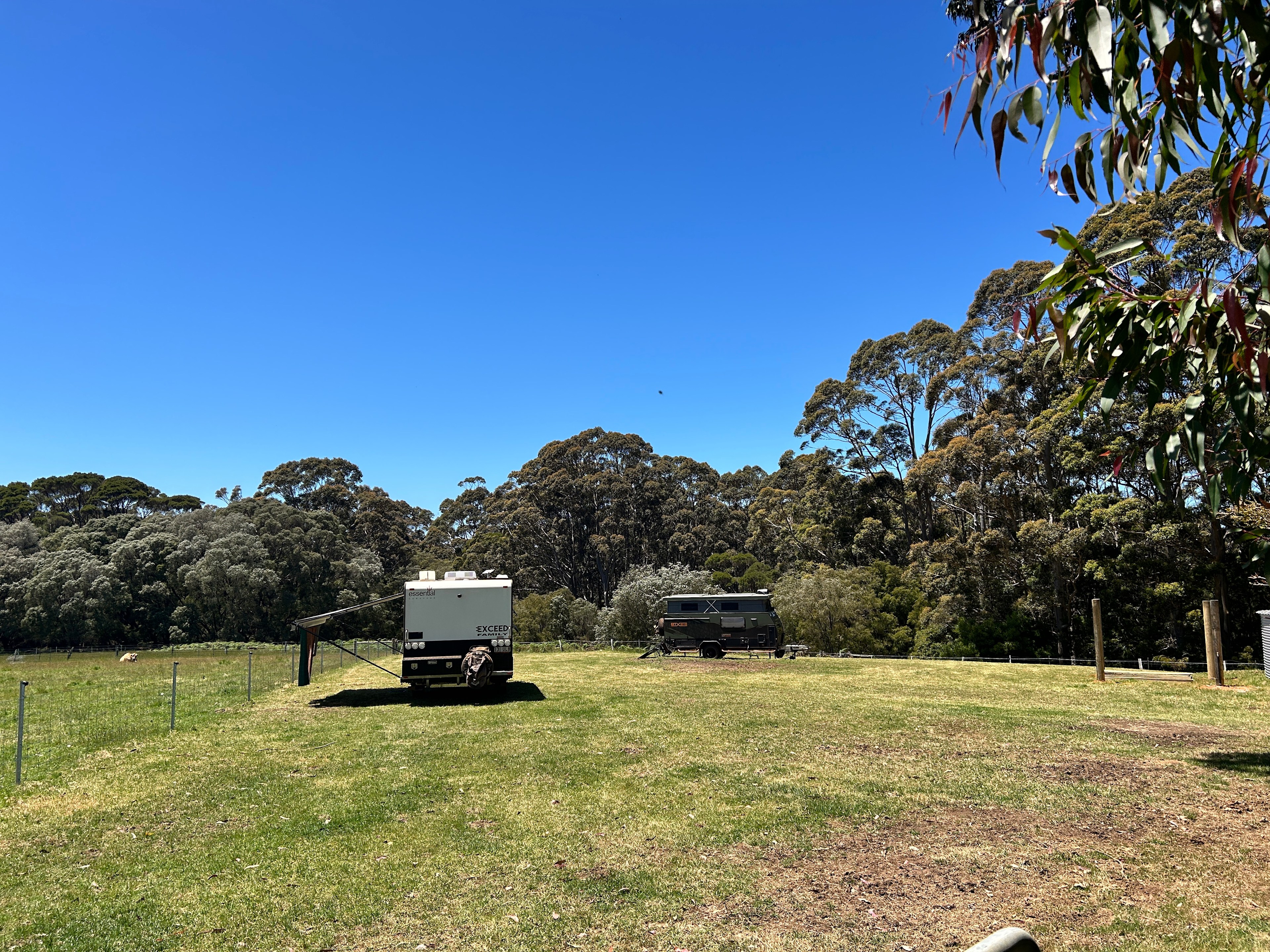 Monkey Rock Cider & Brewing Co
