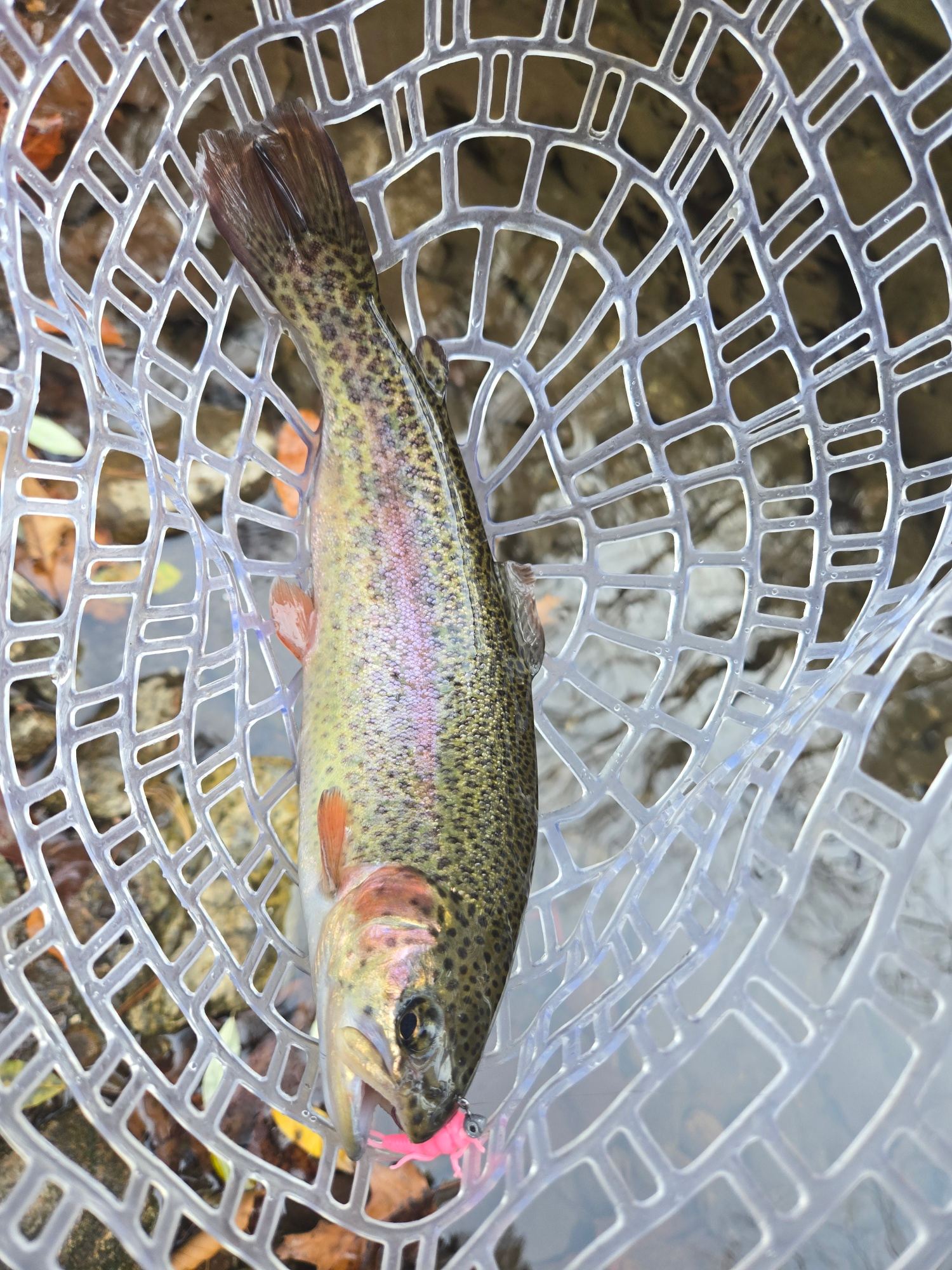 Stoney Creek Campground