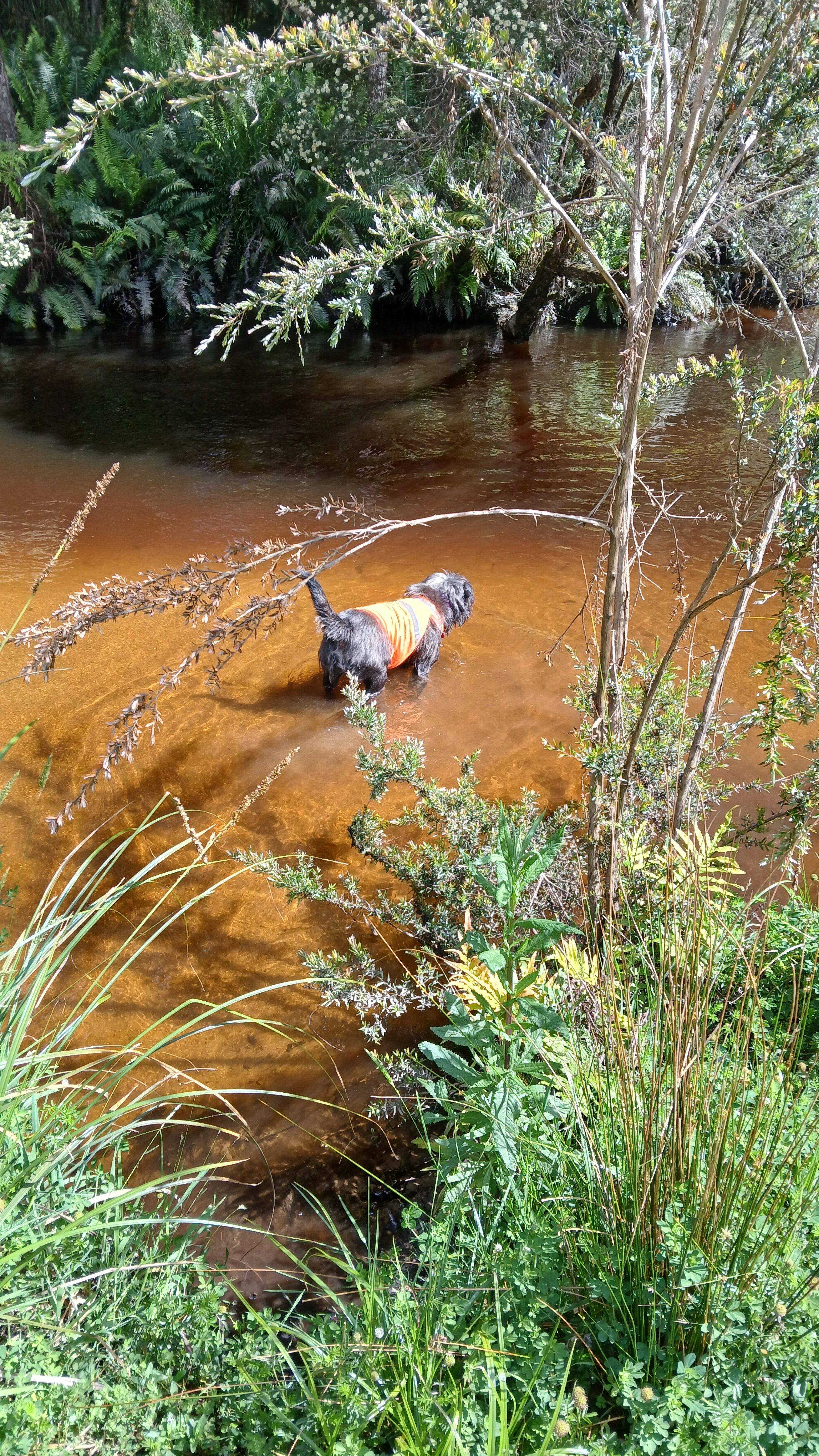 Organic Farm & Riverside Camping