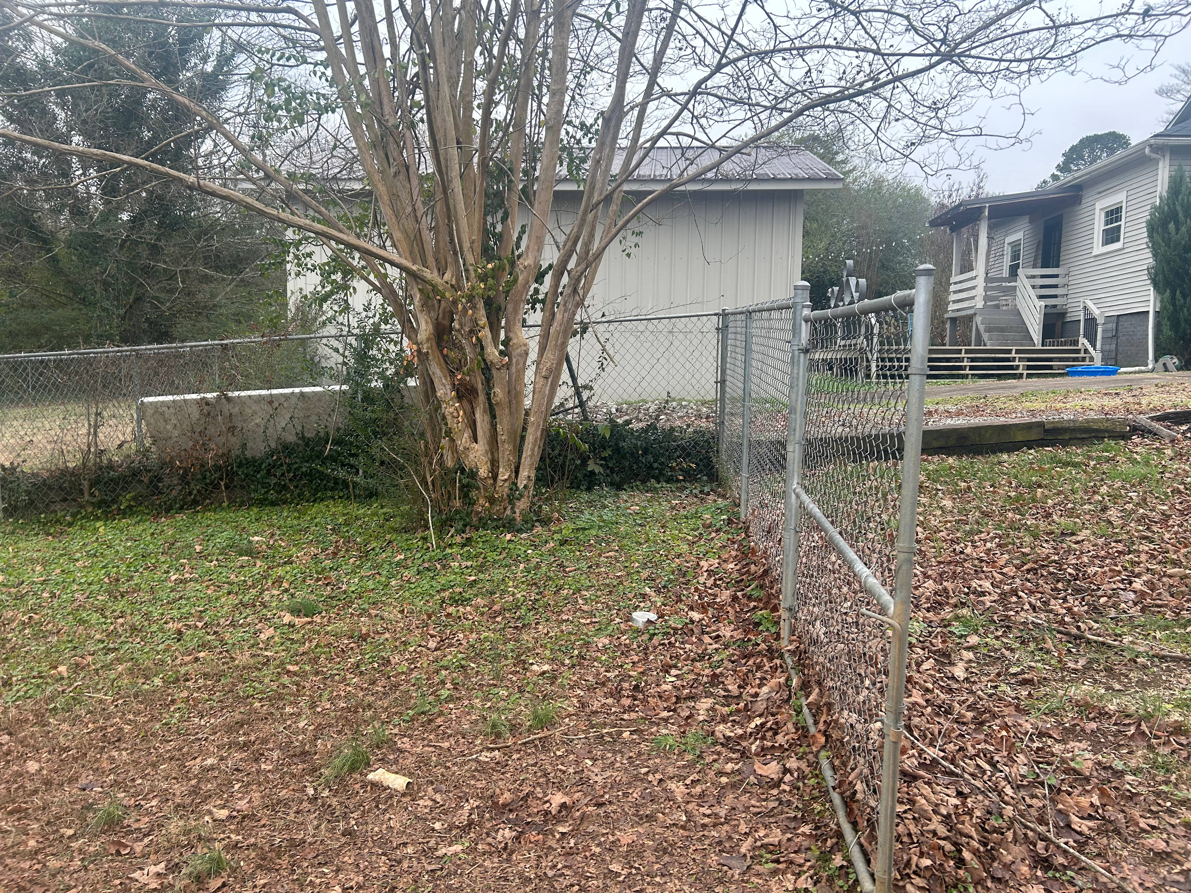 Cheeky Lil Chatty Spot