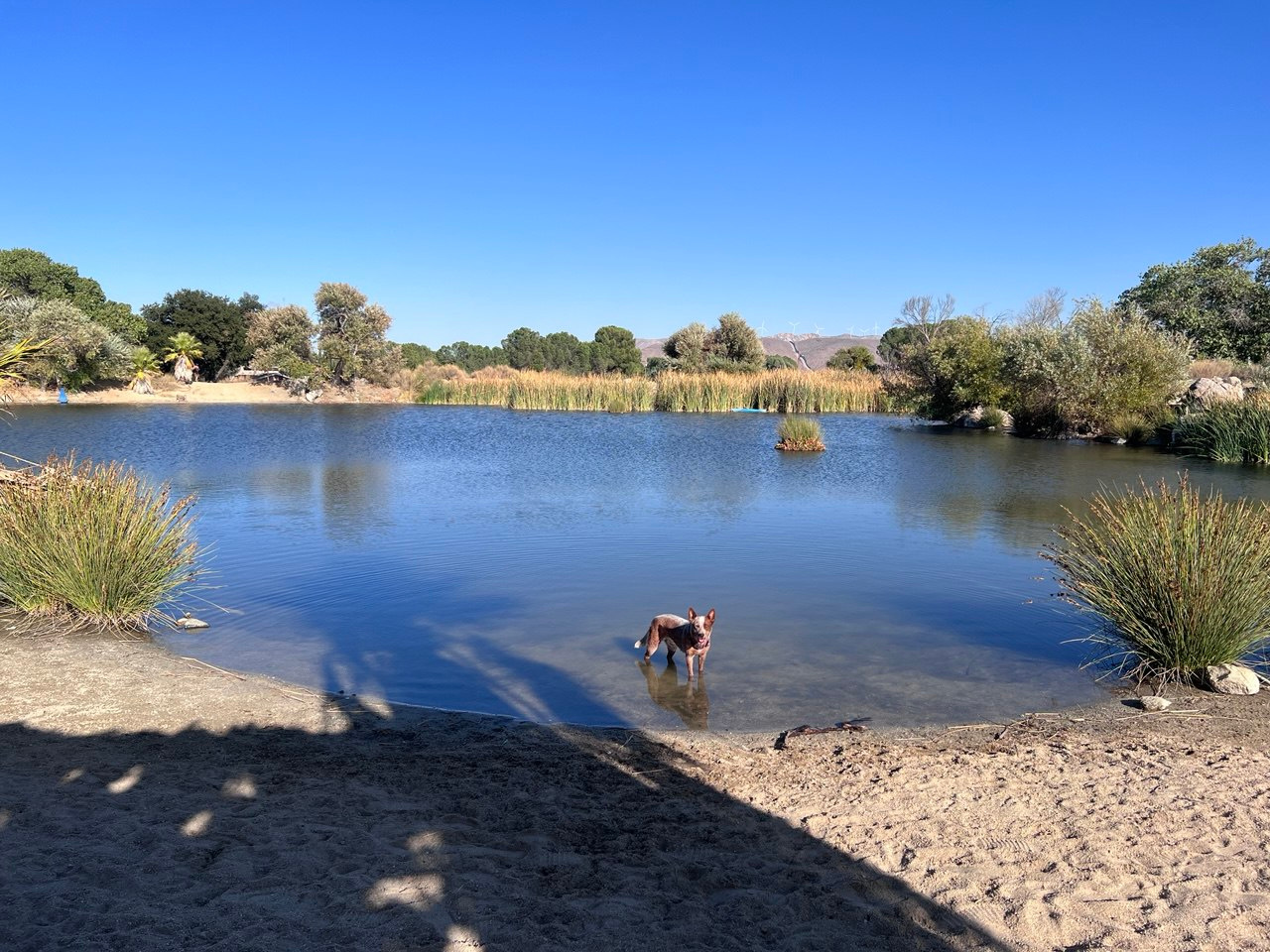 Jacumba Vortex Hipcamp