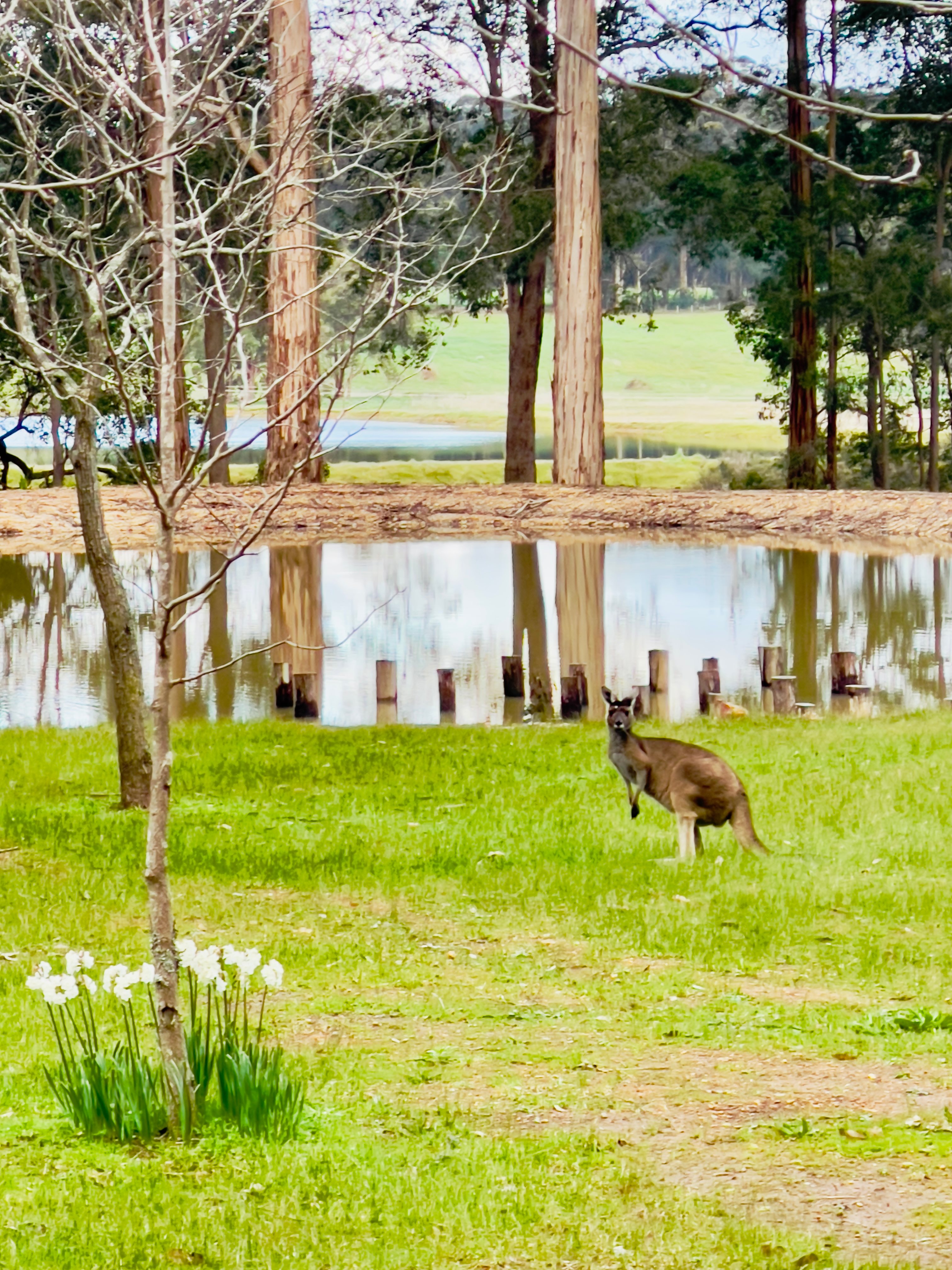 Highway Hideaway - Manjimup